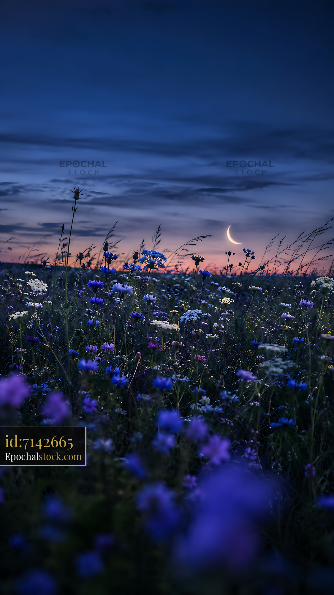 Watermarked full-resolution preview of Field of flowers under a crescent moon at dusk