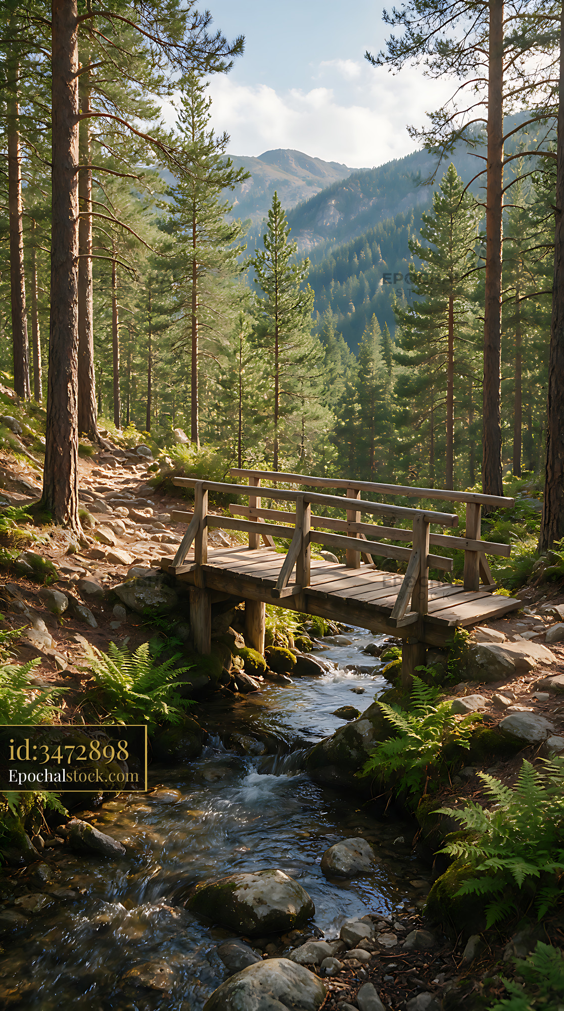 Watermarked full-resolution preview of Pine forest mountain trail crossing a wooden bridge