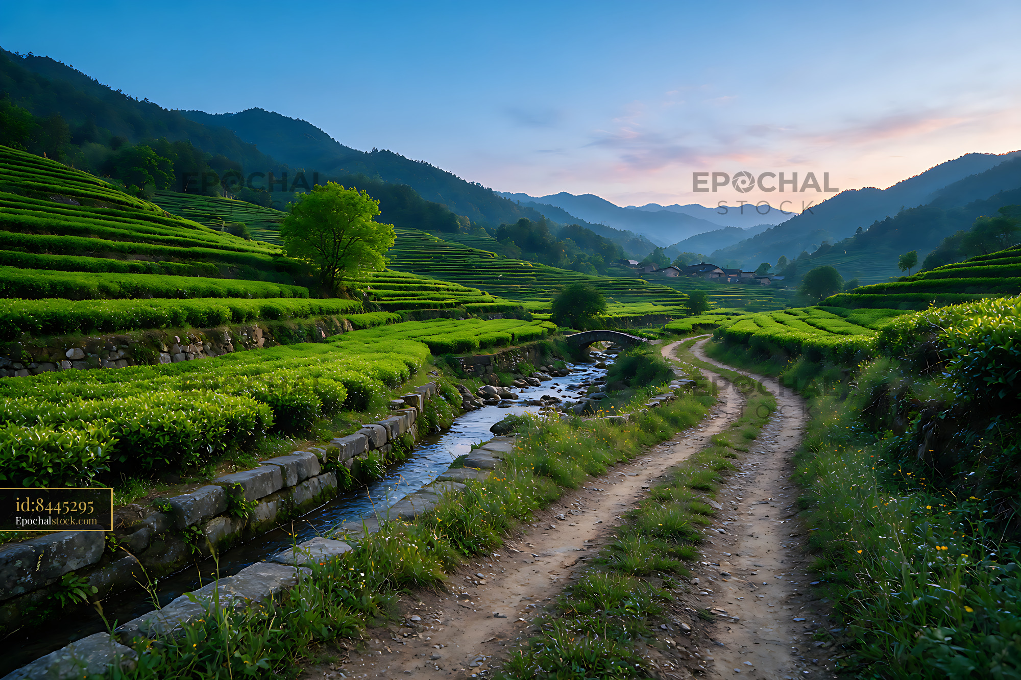 Watermarked full-resolution preview of Terraced tea fields and stream in a mountain valley