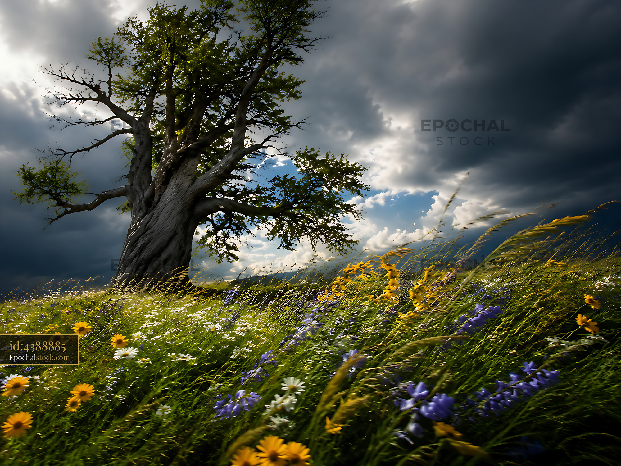 Watermarked full-resolution preview of Tree in a field with flowers under a cloudy sky