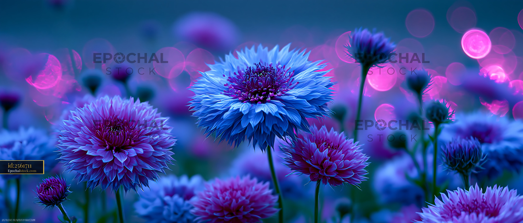 Watermarked full-resolution preview of Colorful flowers bloom in a garden at twilight