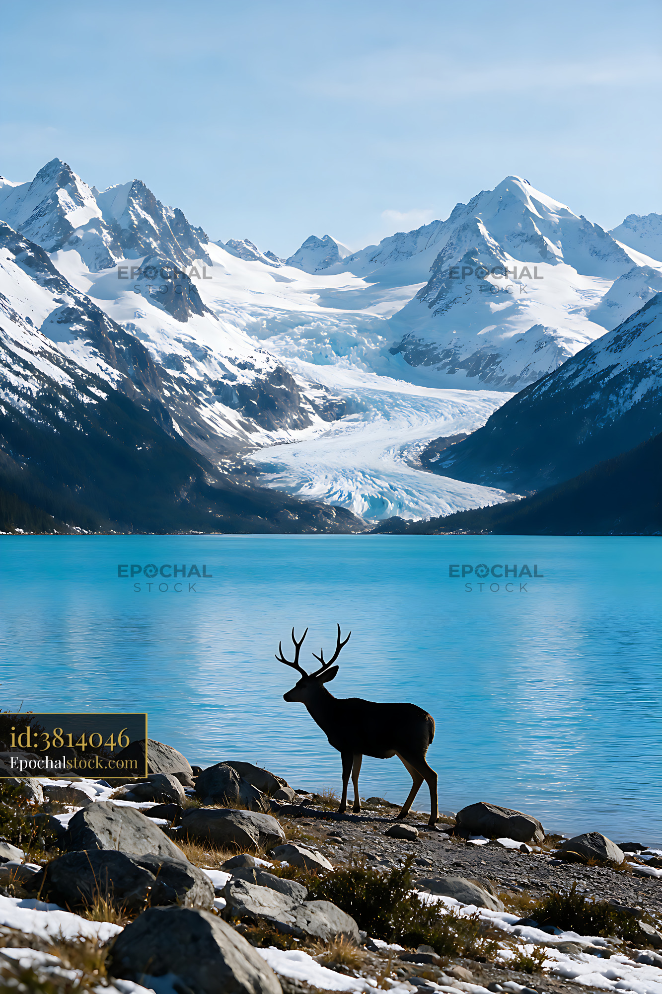 Watermarked full-resolution preview of Antlered deer beside turquoise alpine lake