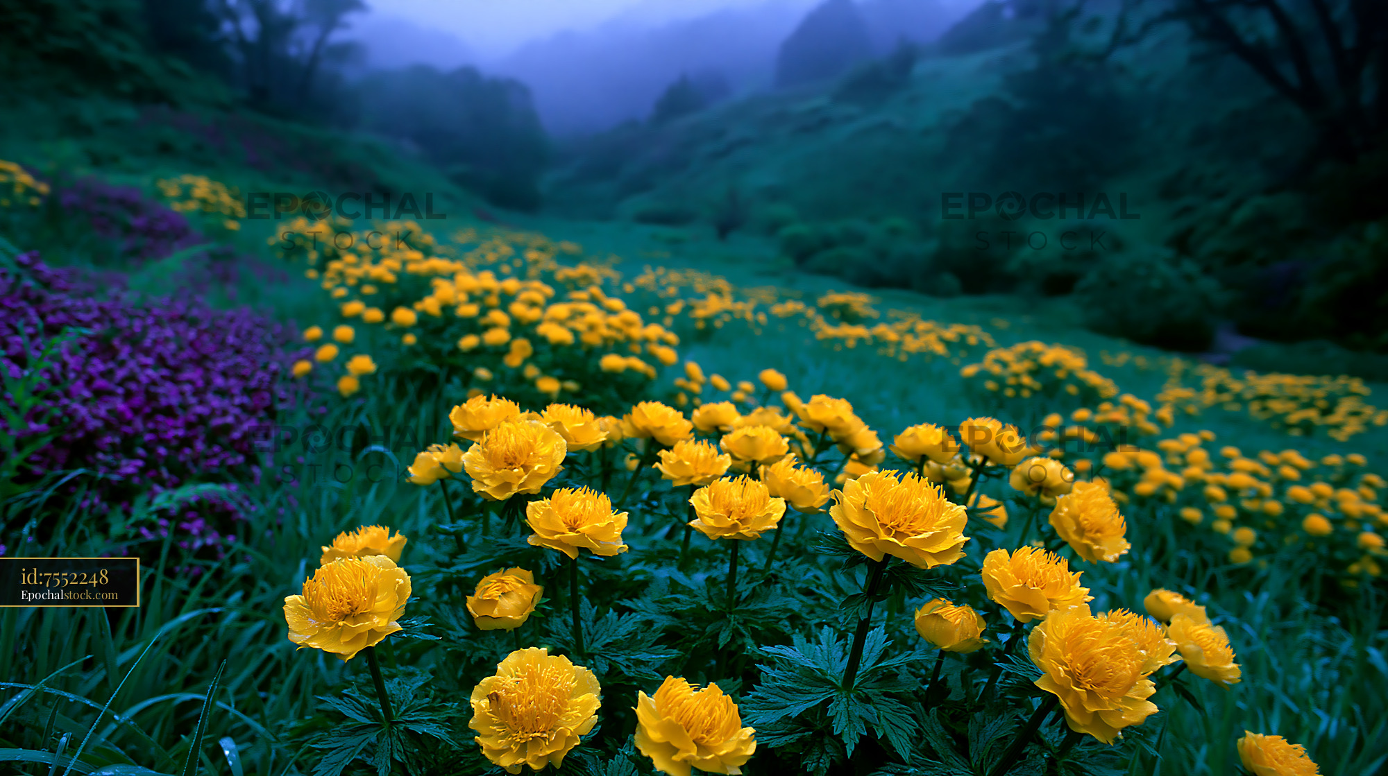 Watermarked full-resolution preview of Flowers bloom in a field during early morning