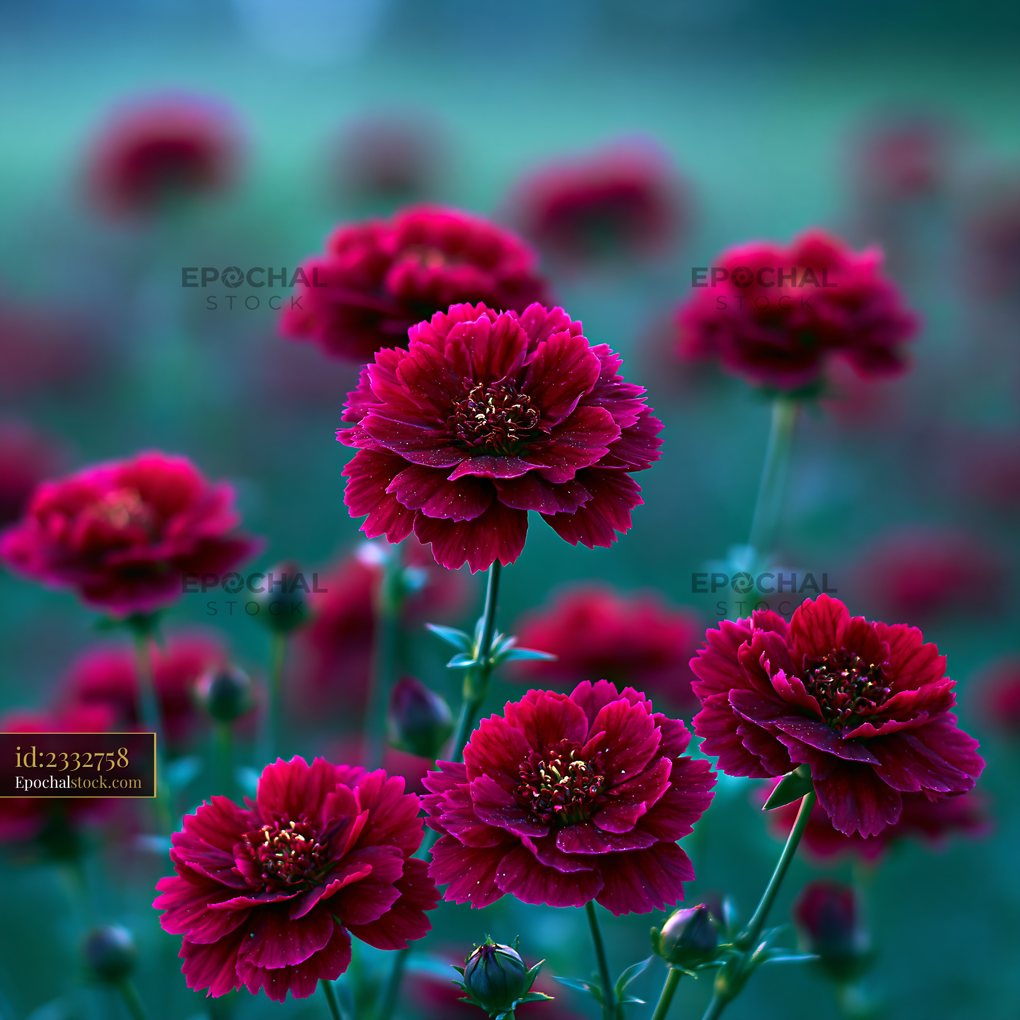 Watermarked full-resolution preview of Red flowers in a garden during daytime