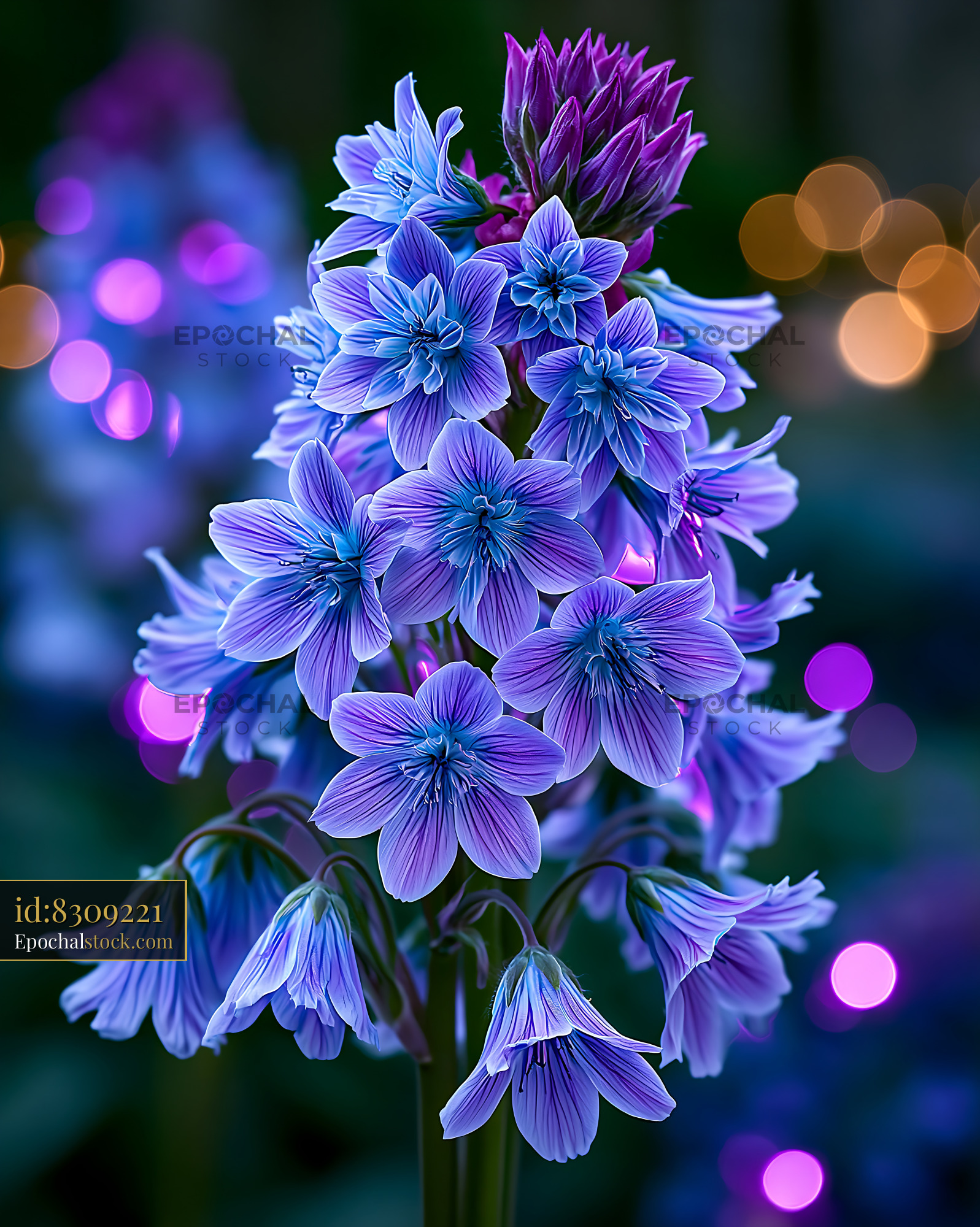 Watermarked full-resolution preview of Beautiful purple flowers with blurred lights in background