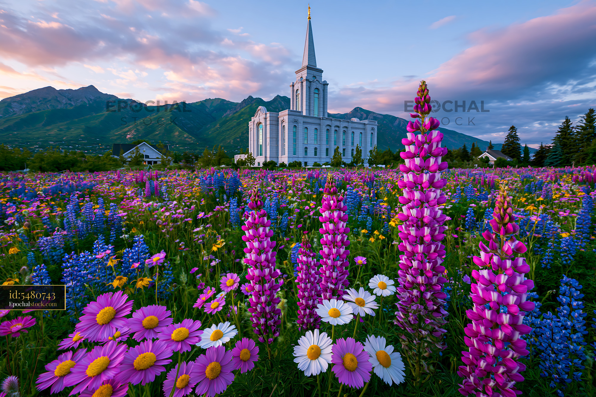 Watermarked full-resolution preview of Colorful flowers surround a large church under a blue sky
