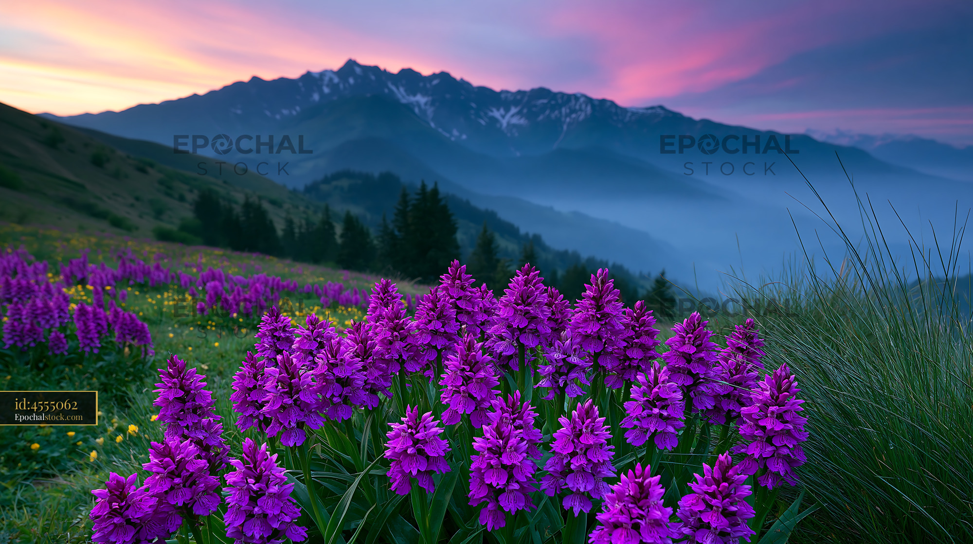 Watermarked full-resolution preview of Mountain landscape with purple flowers under a colorful sky