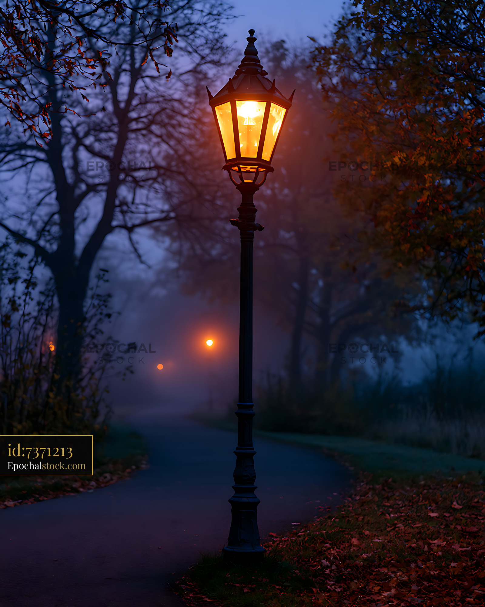 Watermarked full-resolution preview of Illuminated lantern along a tree-lined autumn path