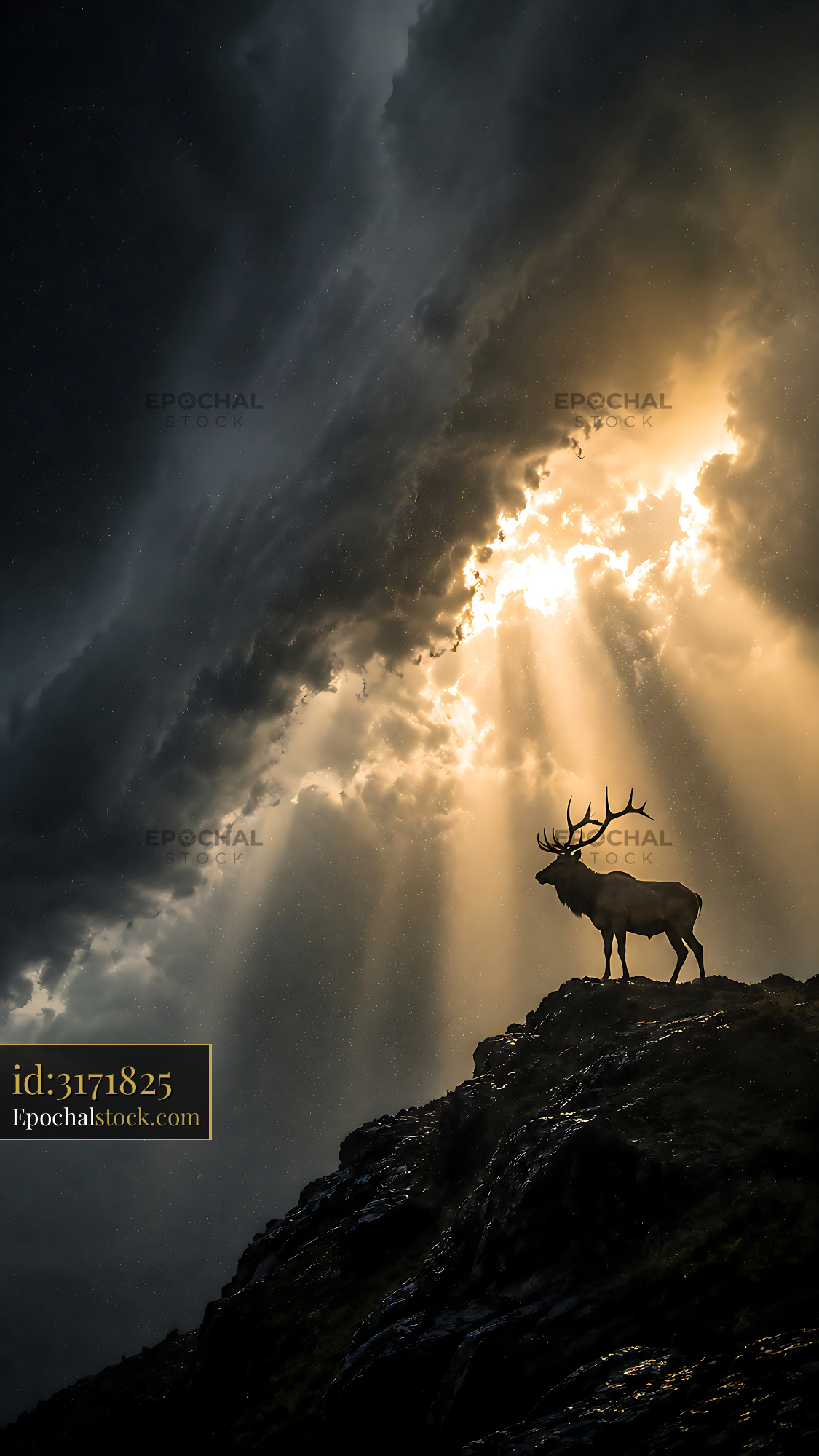 Watermarked full-resolution preview of Deer standing on a rock at sunset in a stormy sky