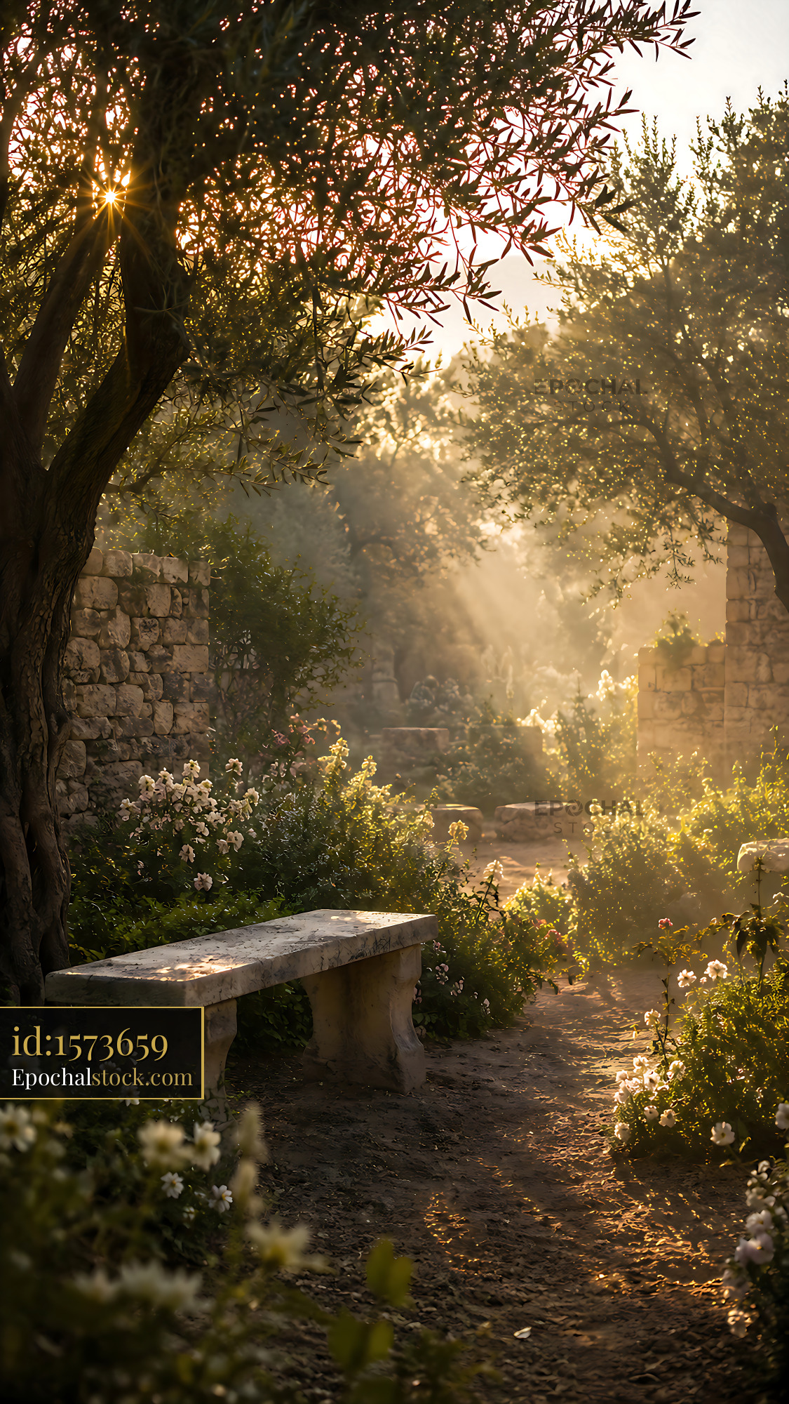 Watermarked full-resolution preview of Sunlight beams through trees in a garden with a stone bench