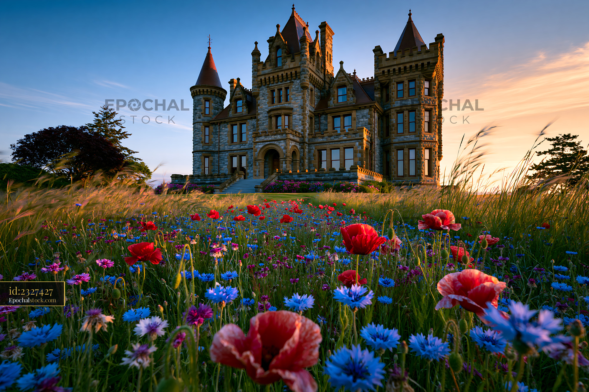 Manor House Surrounded by Flowers at Sunset in Rural Landscape - stock photo