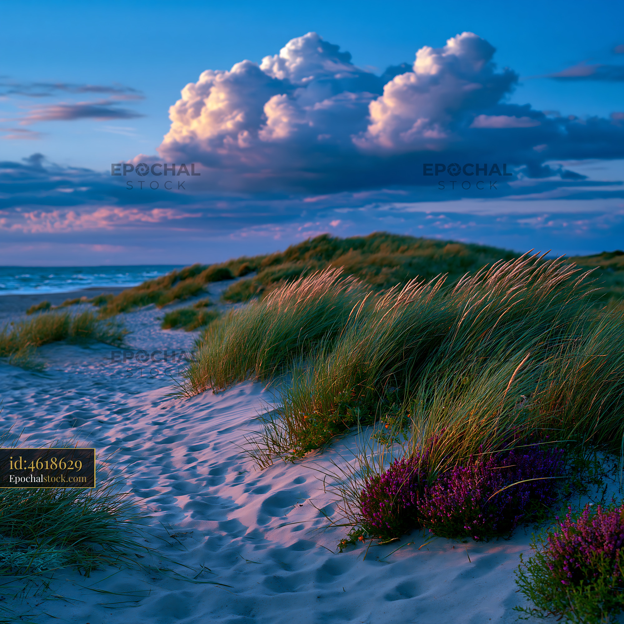 Watermarked full-resolution preview of Sunset at the beach with grasses and clouds in the sky