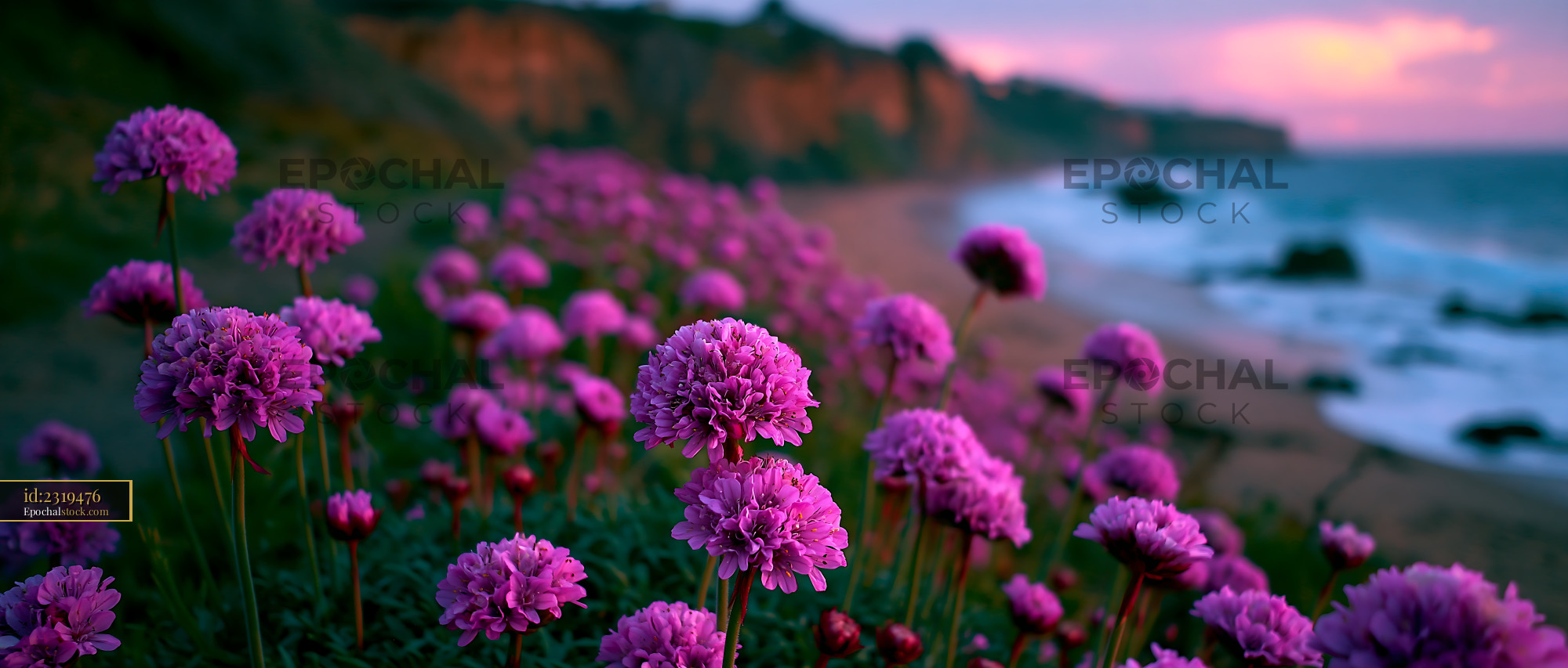 Watermarked full-resolution preview of Flowers blooming by the ocean at sunset near cliffs