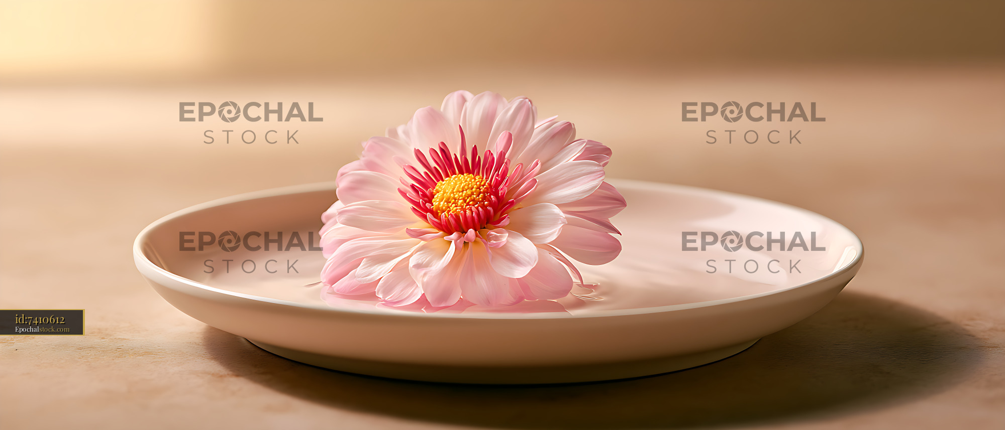 Watermarked full-resolution preview of Delicate pink blossom floating in water