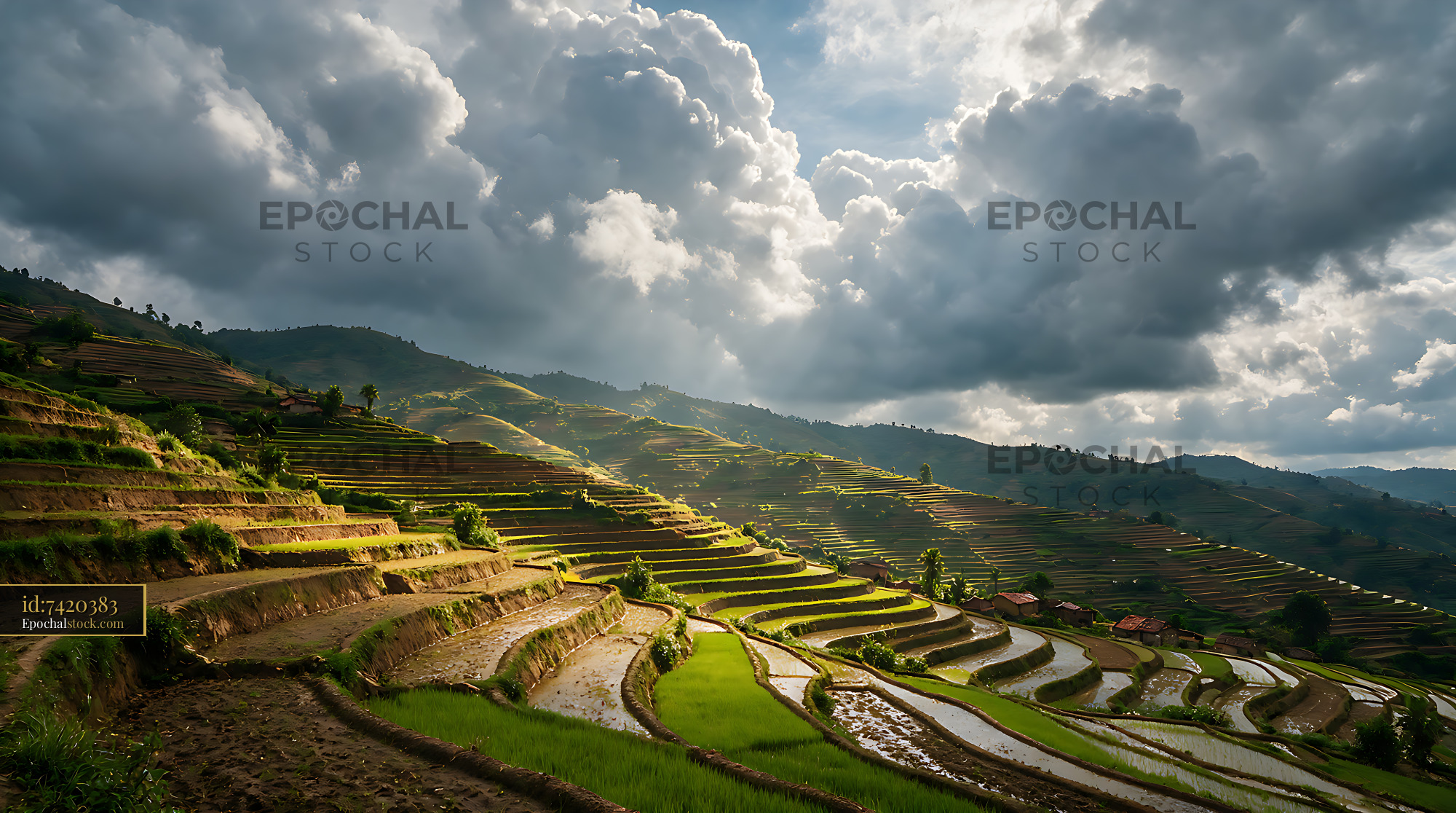 Watermarked full-resolution preview of Mountain rice terraces under dramatic sunlight and clouds