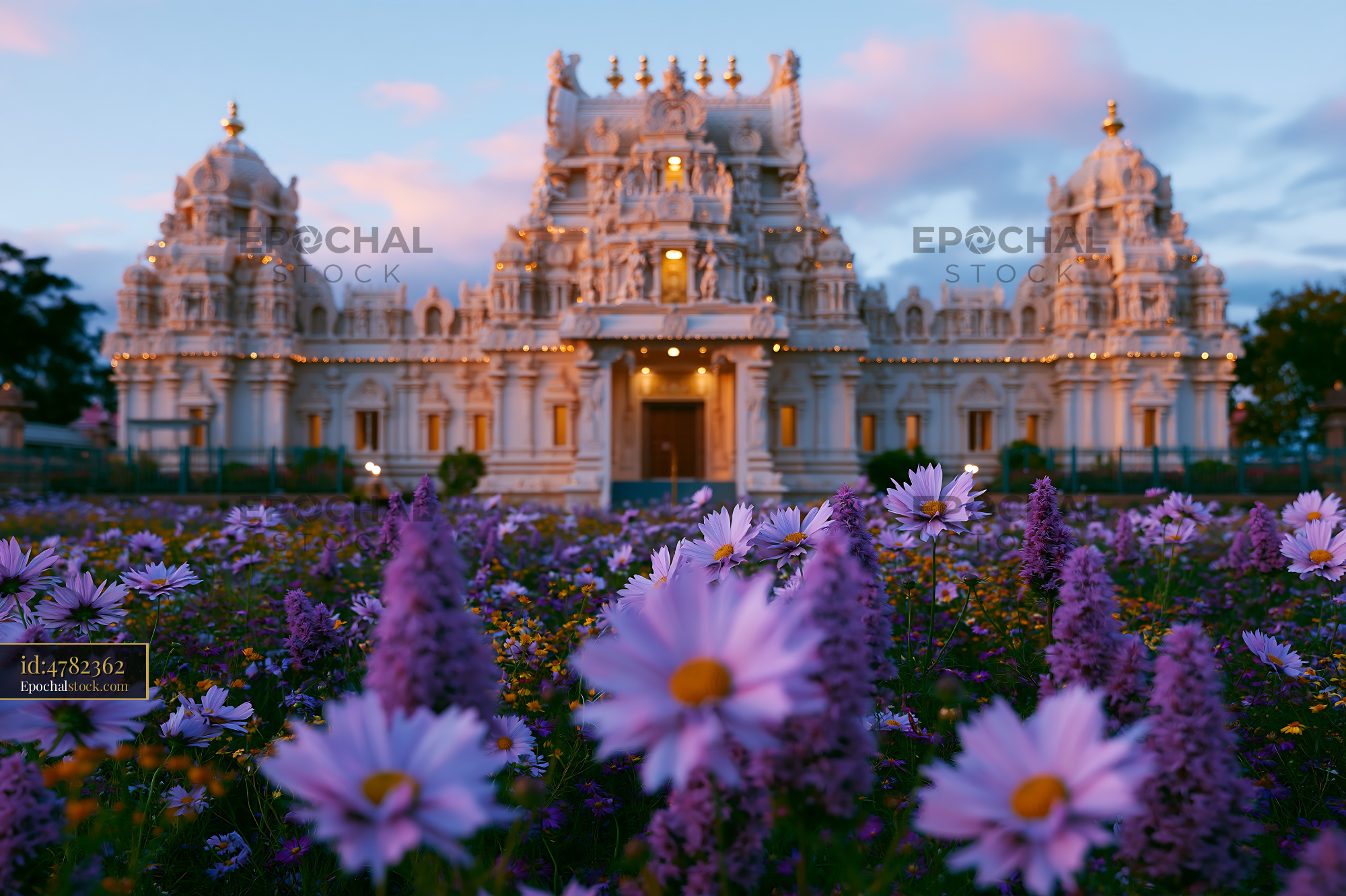 Watermarked full-resolution preview of Beautiful temple surrounded by blooming flowers in golden hour