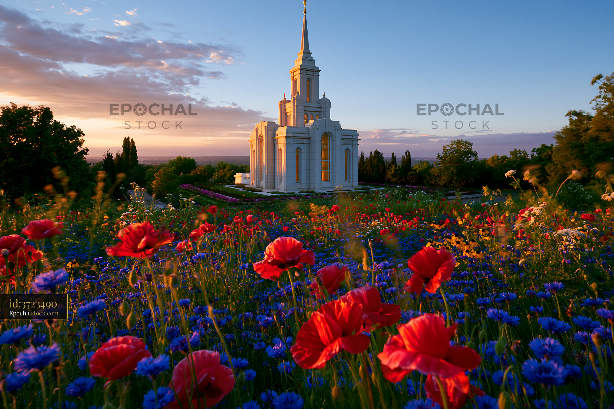 Watermarked full-resolution preview of Sunset over a temple with colorful flowers in the foreground