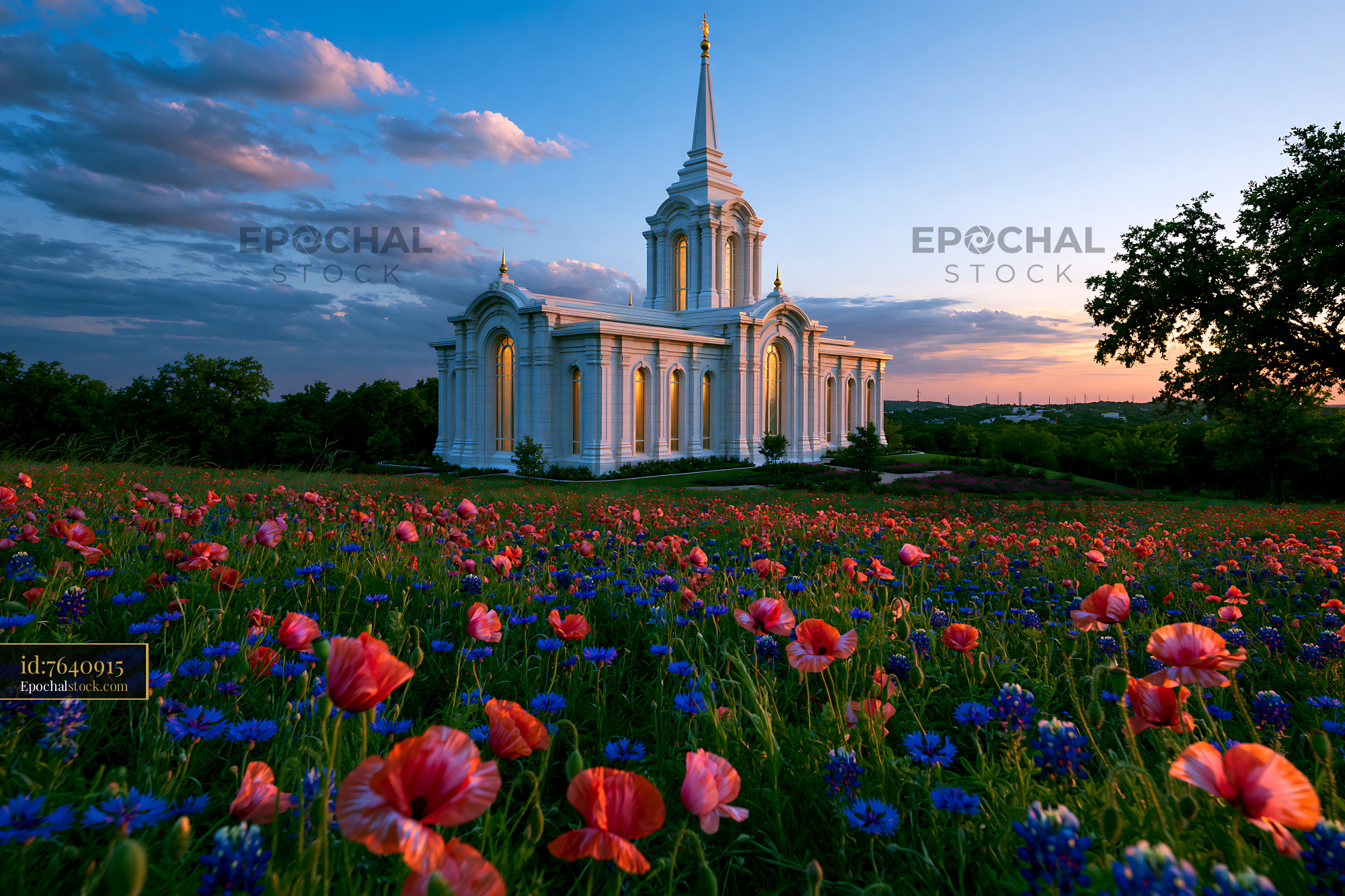 Watermarked full-resolution preview of White building surrounded by colorful flowers at sunset