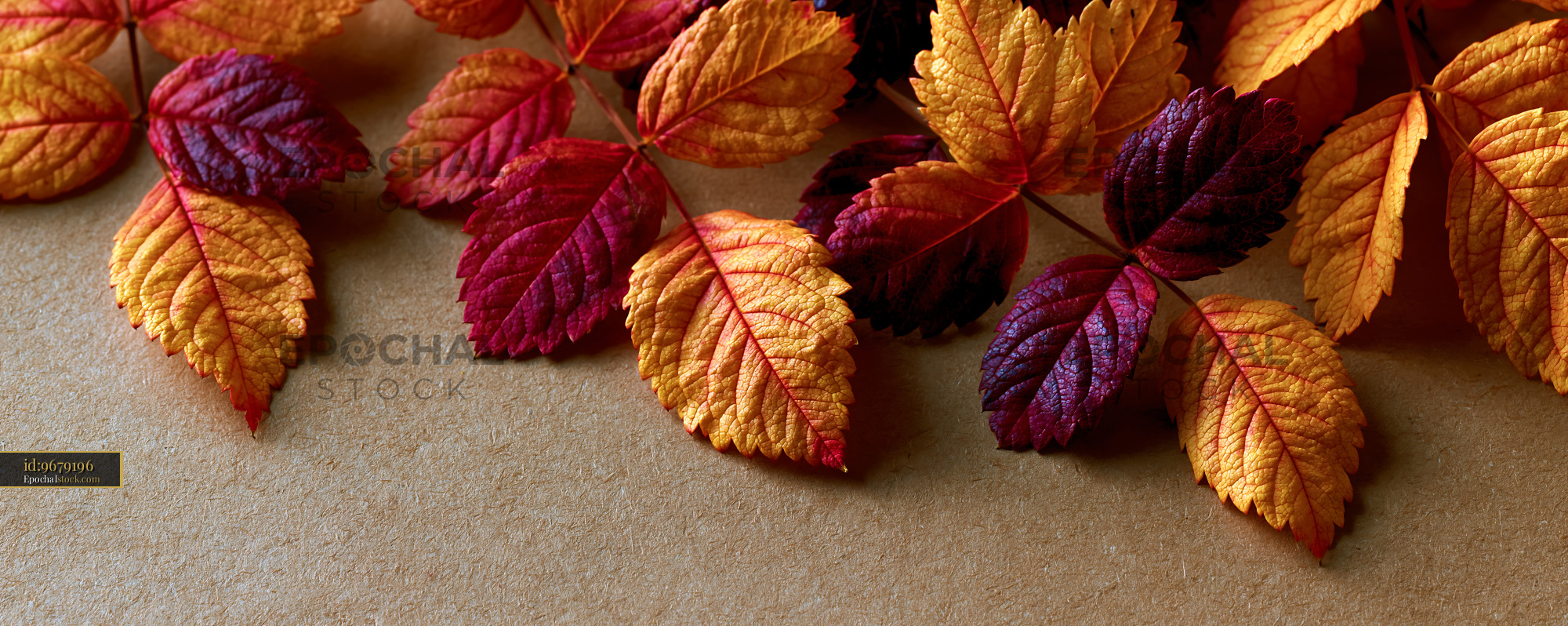 Watermarked full-resolution preview of Colorful autumn leaves arranged on a brown surface