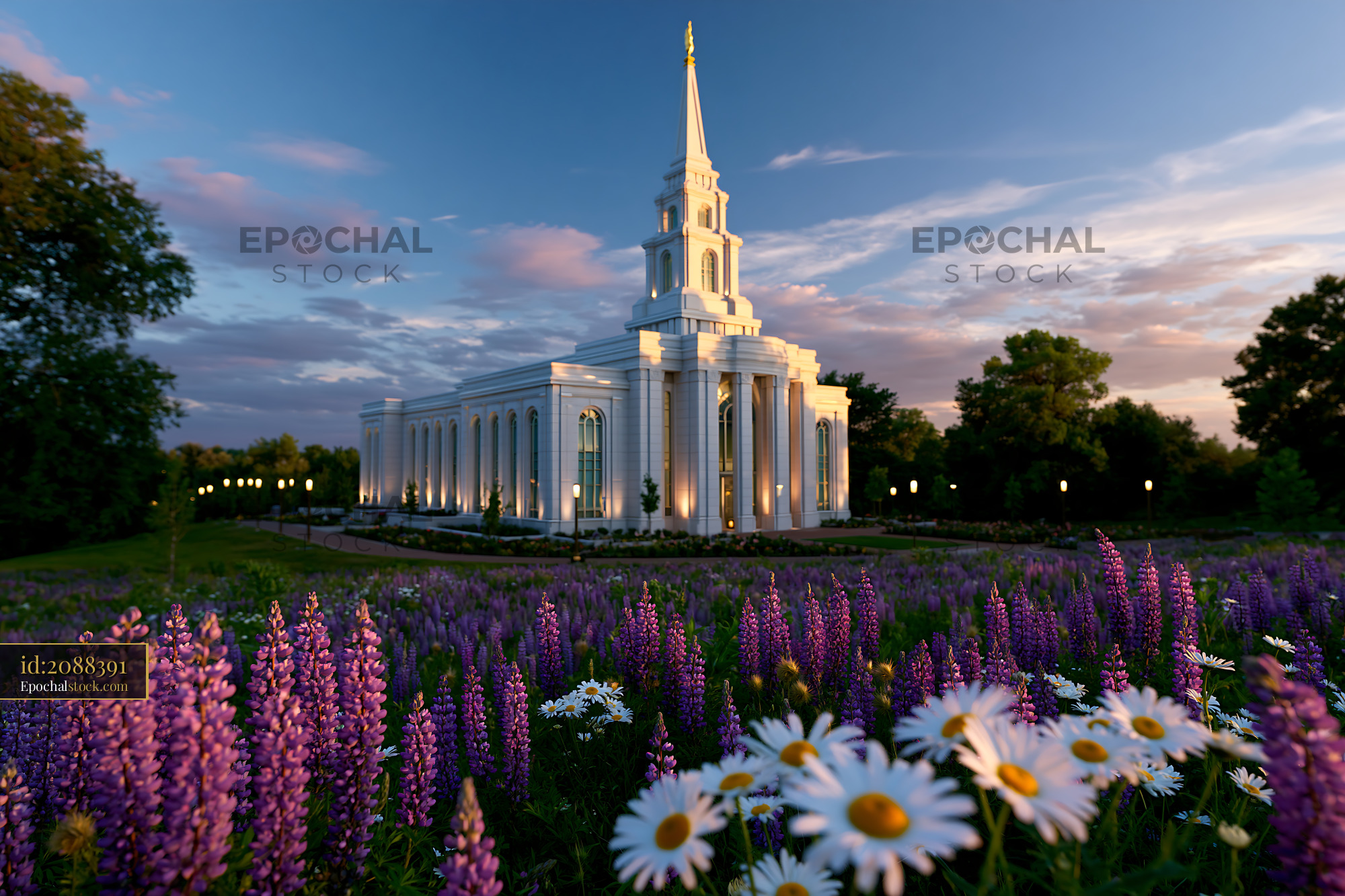Watermarked full-resolution preview of Building with a spire surrounded by flowers at sunset