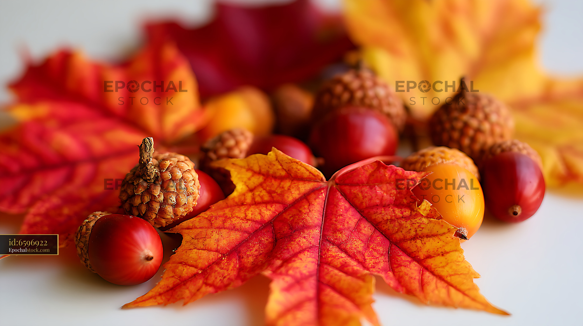 Watermarked full-resolution preview of Colorful fall leaves, acorns and berries