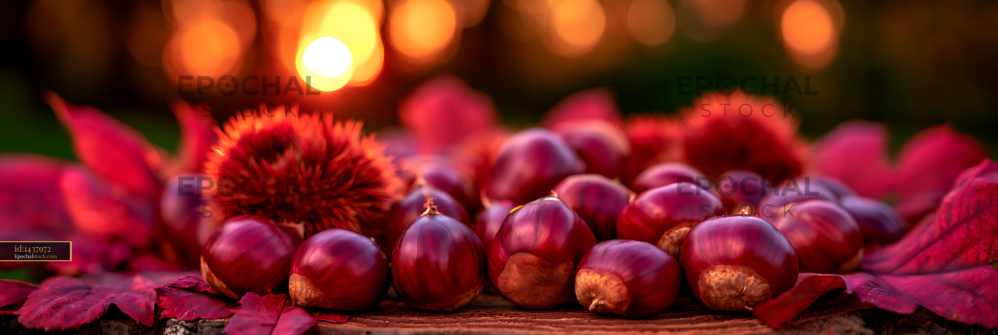 Watermarked full-resolution preview of Chestnuts arranged with red autumn foliage and glowing lights