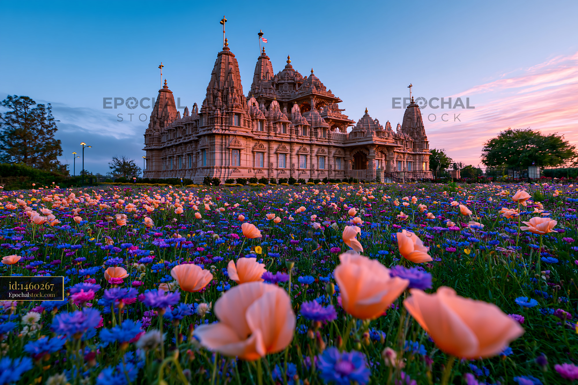 Watermarked full-resolution preview of Temple surrounded by flowers at sunset