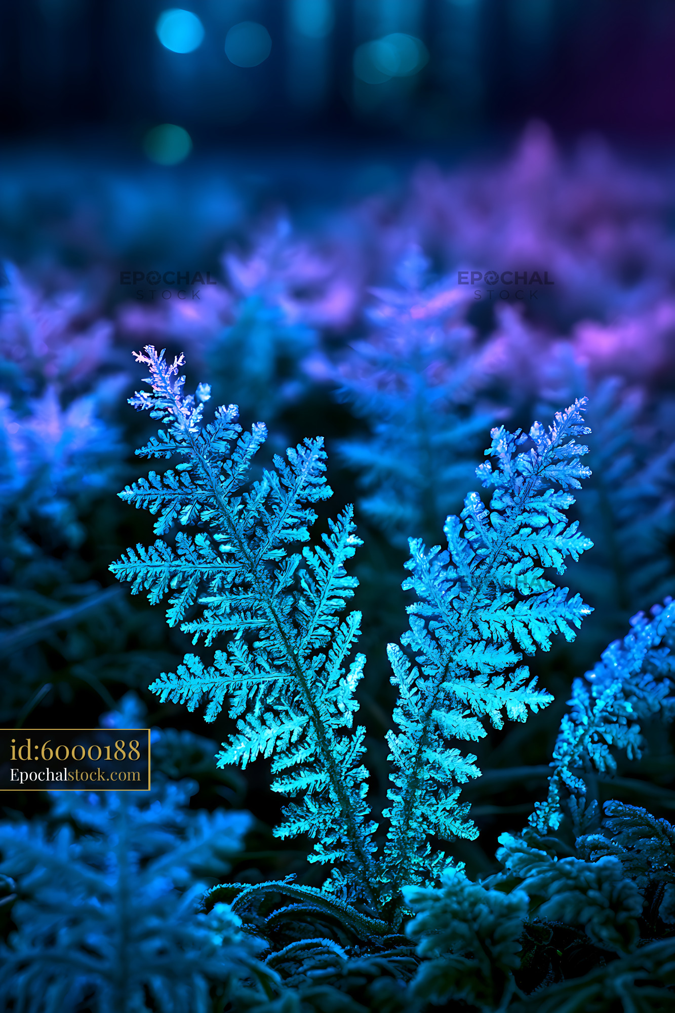Watermarked full-resolution preview of Vivid blue fern foliage in atmospheric light
