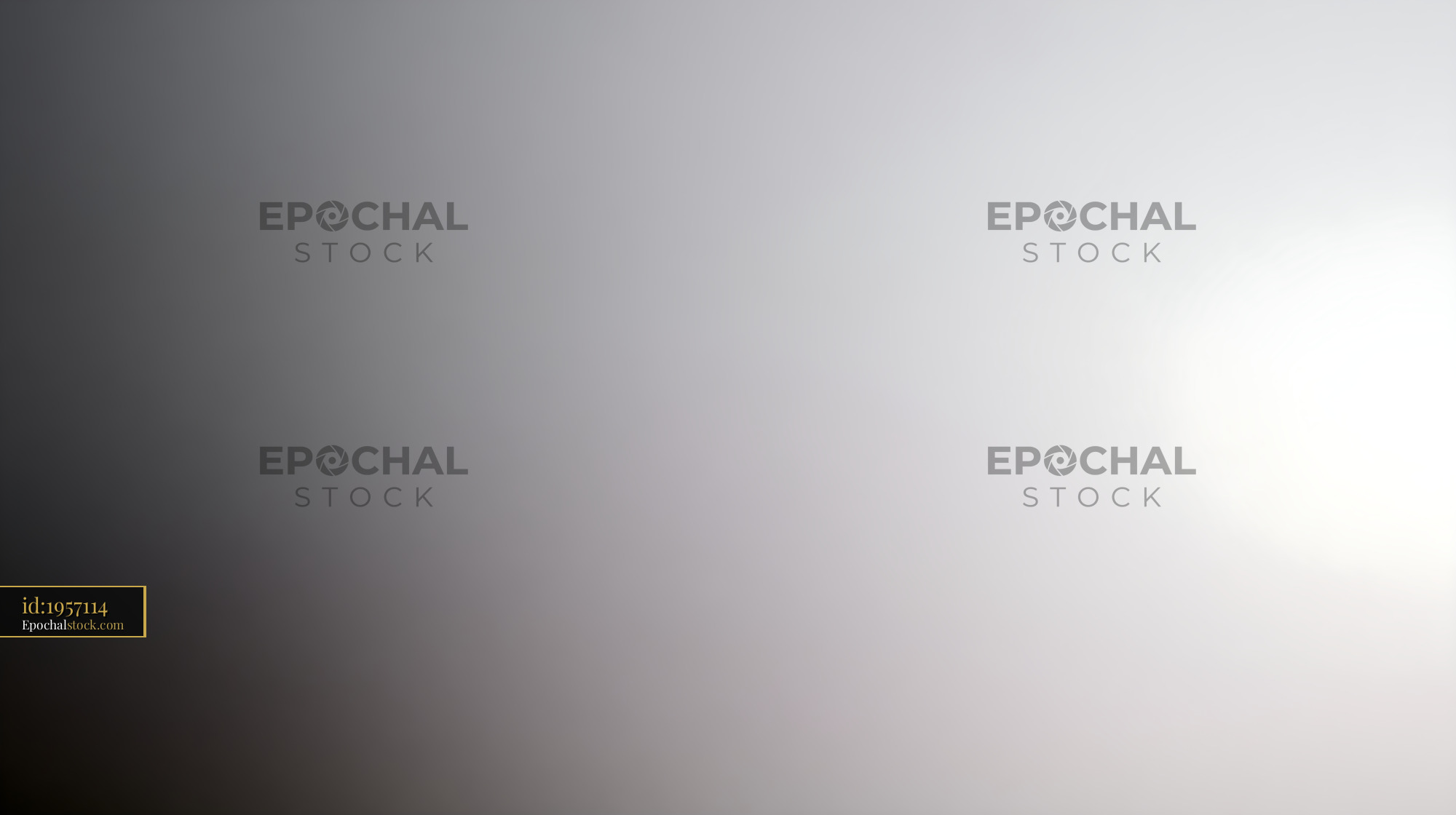 Watermarked full-resolution preview of Minimal gray and white gradient backdrop
