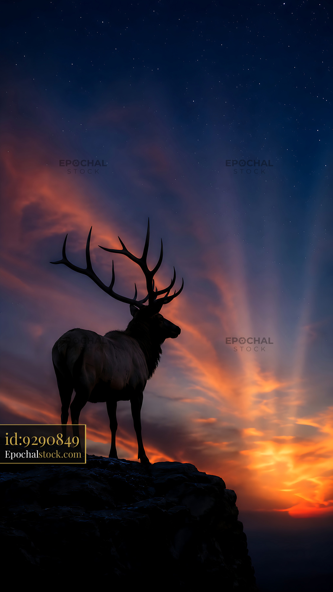 Watermarked full-resolution preview of Elk silhouette against colorful sunset sky