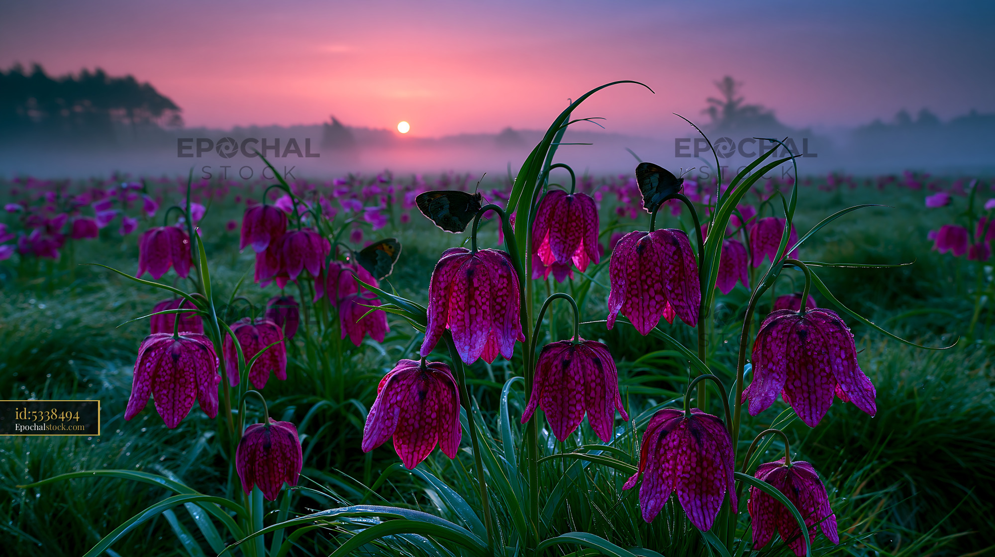 Watermarked full-resolution preview of Colorful flowers bloom at sunrise by a misty field