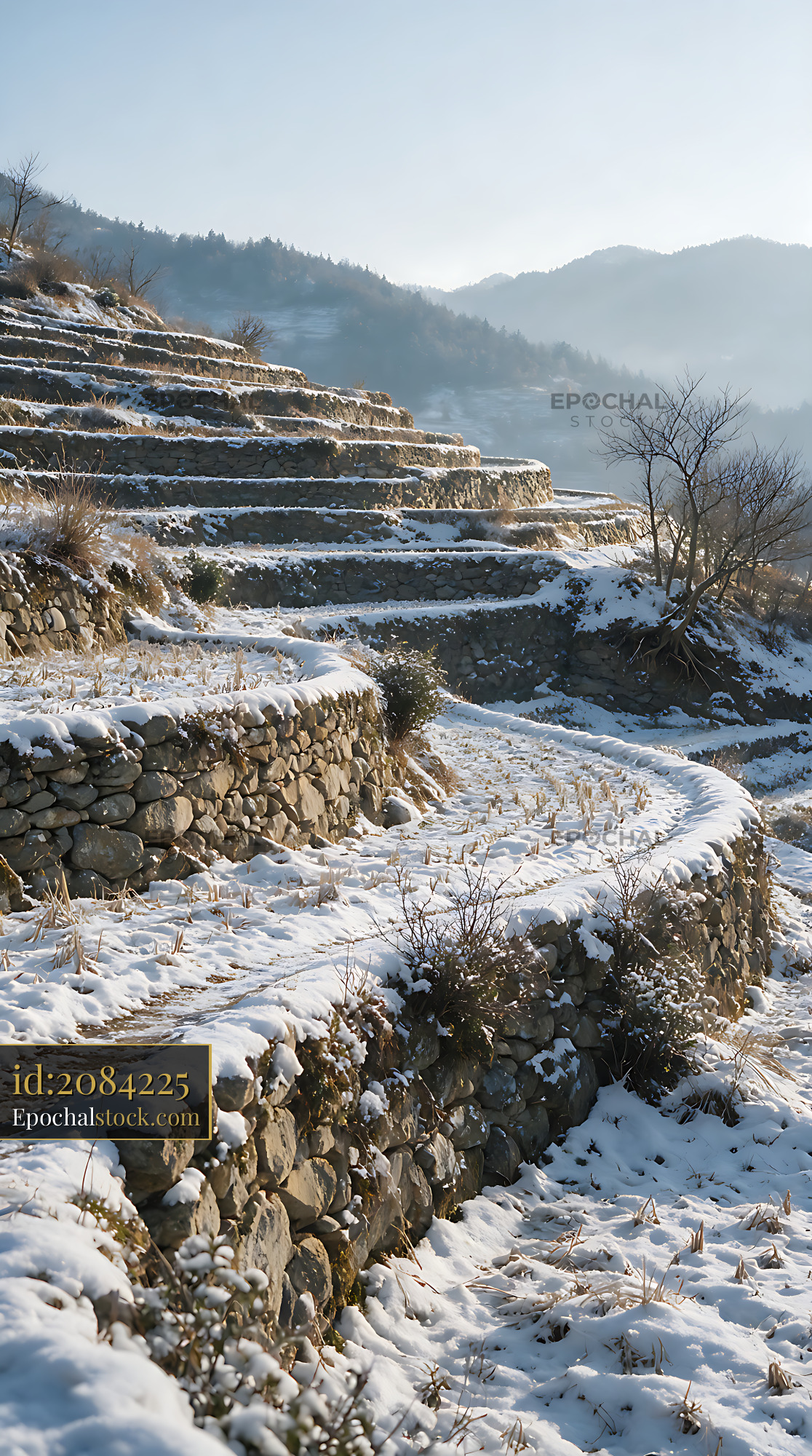 Watermarked full-resolution preview of Winter terraced fields with stone walls and mountain mist