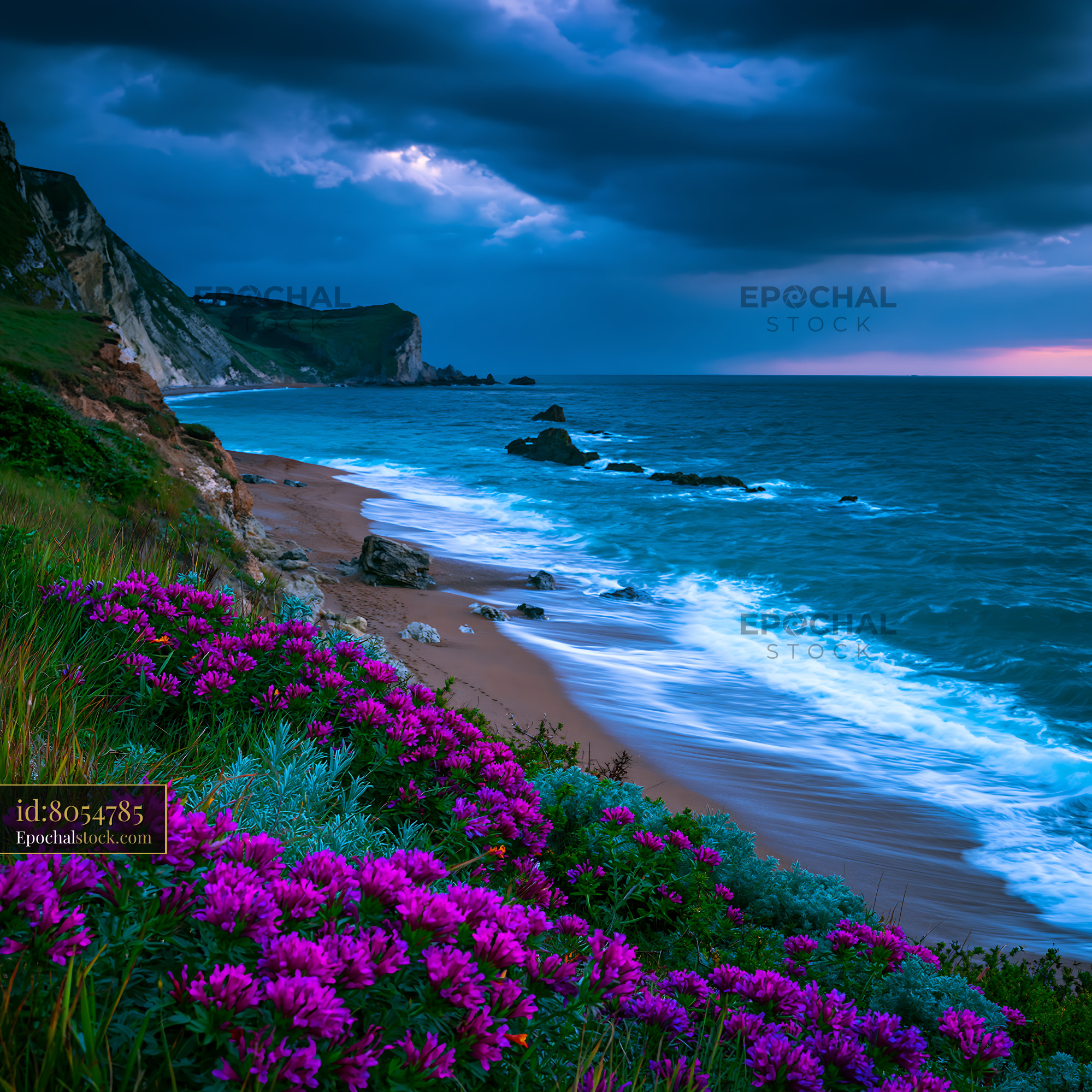 Watermarked full-resolution preview of Coastal scene with flowers and cloudy sky near the shore