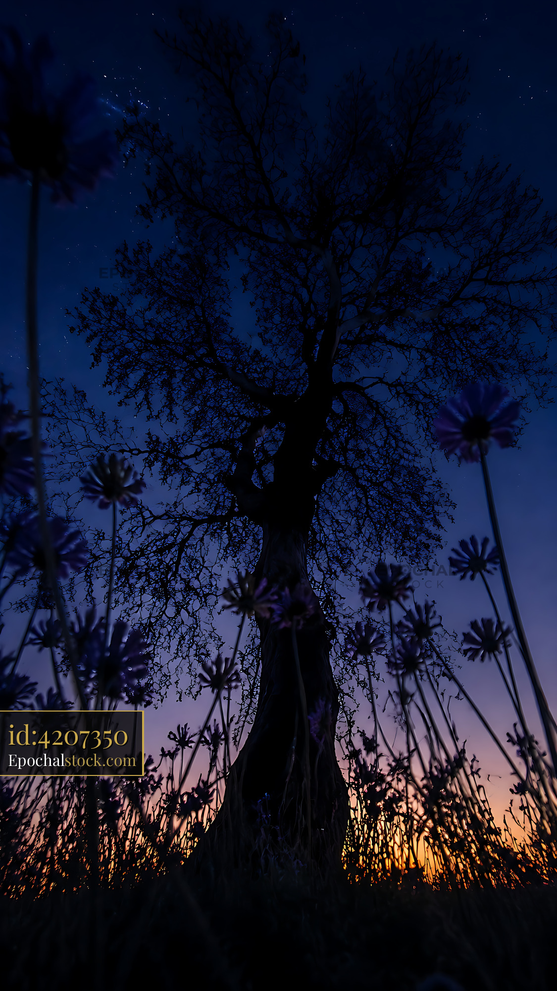 Watermarked full-resolution preview of Silhouette of a tree at dusk with flowers in foreground