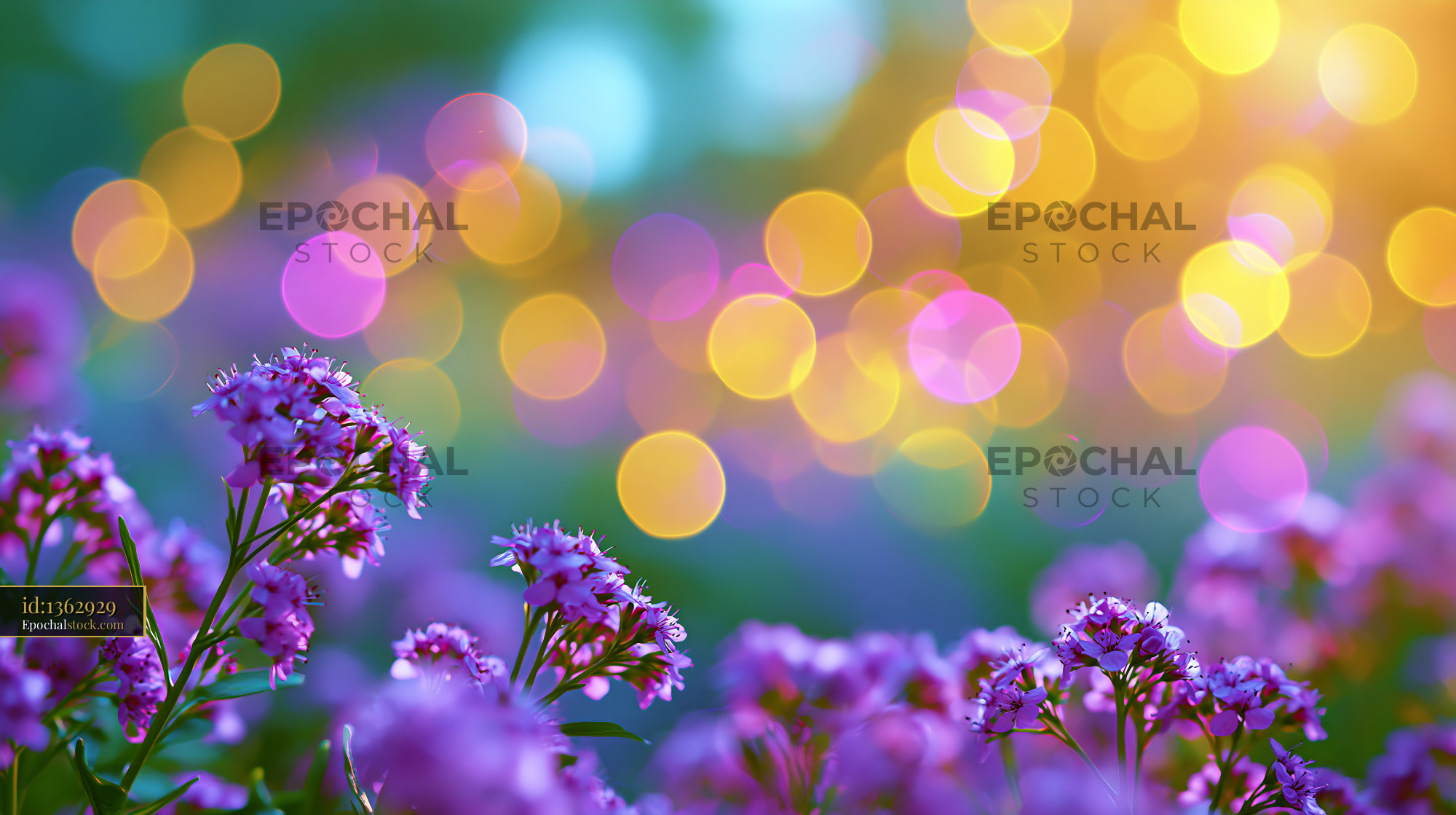 Watermarked full-resolution preview of Bright flowers with bokeh lights in a garden setting