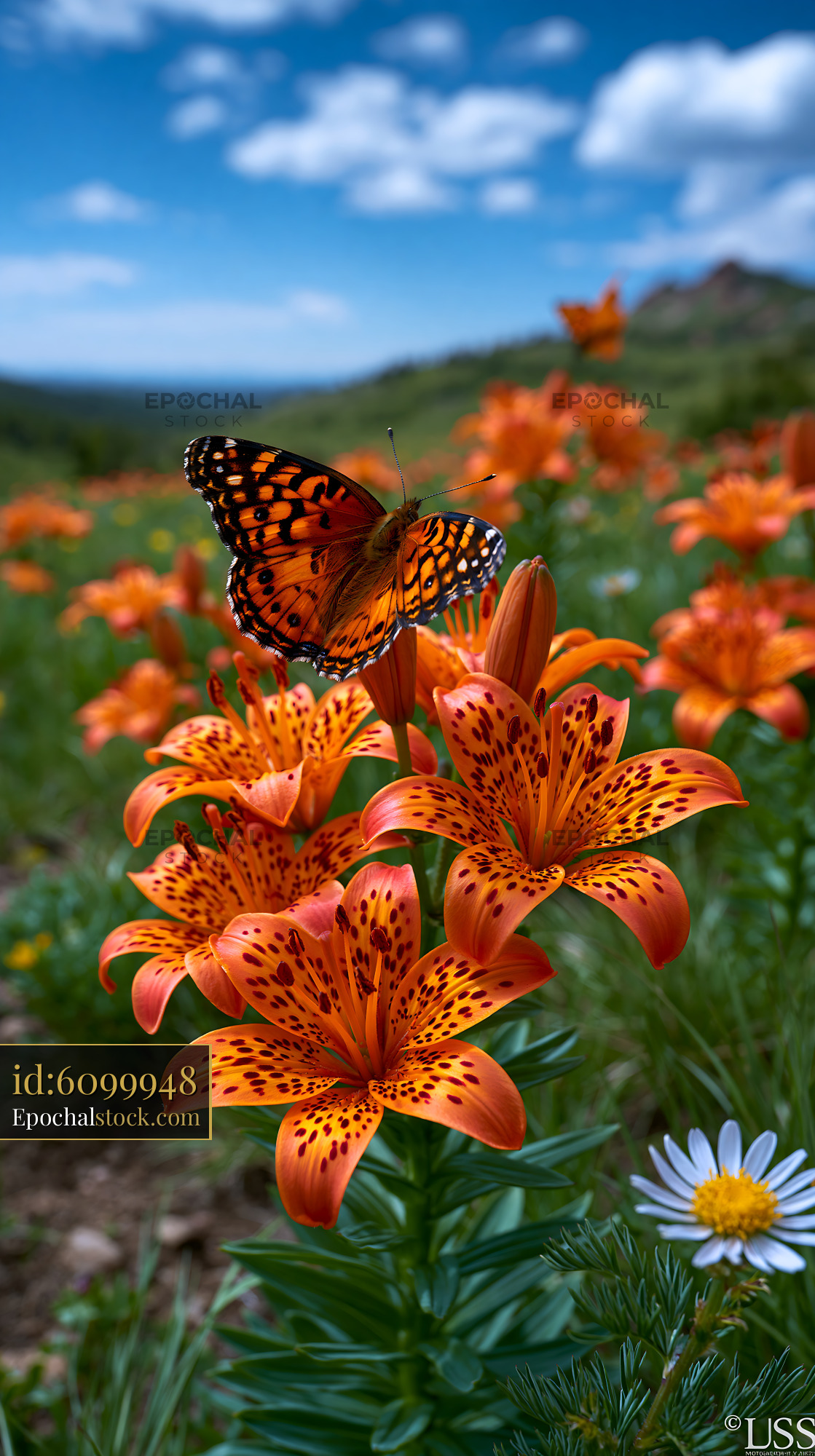Watermarked full-resolution preview of Orange Lily Flowers with Butterfly and Mountain Background