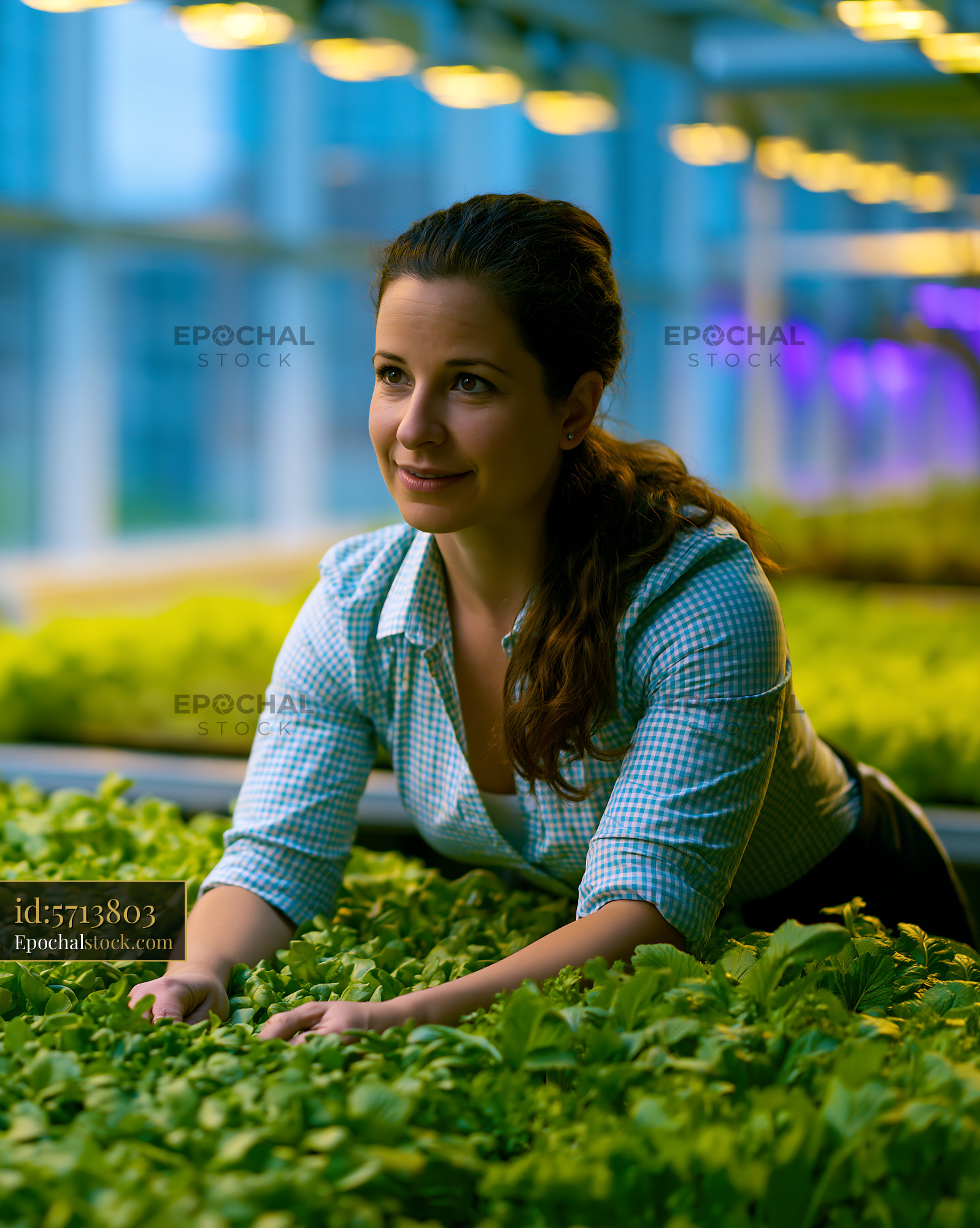 Watermarked full-resolution preview of Woman working in a greenhouse tending to vibrant green plants
