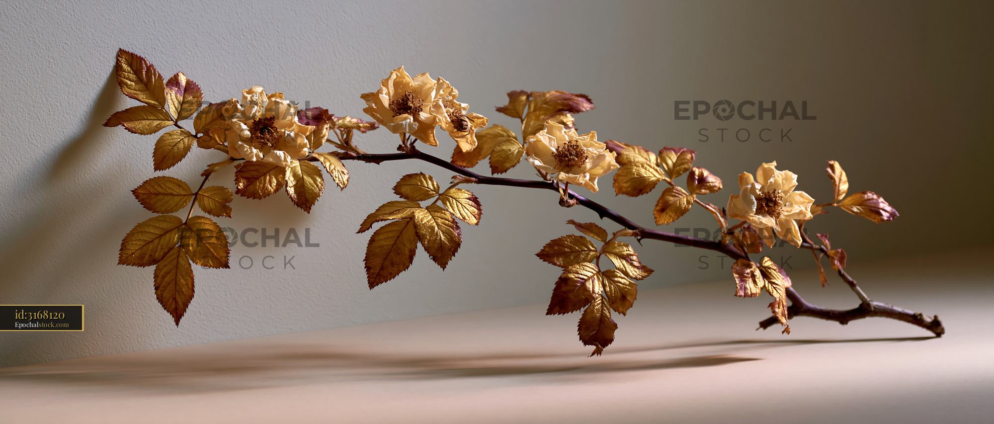 Watermarked full-resolution preview of Golden branch with flowers and leaves on a simple background