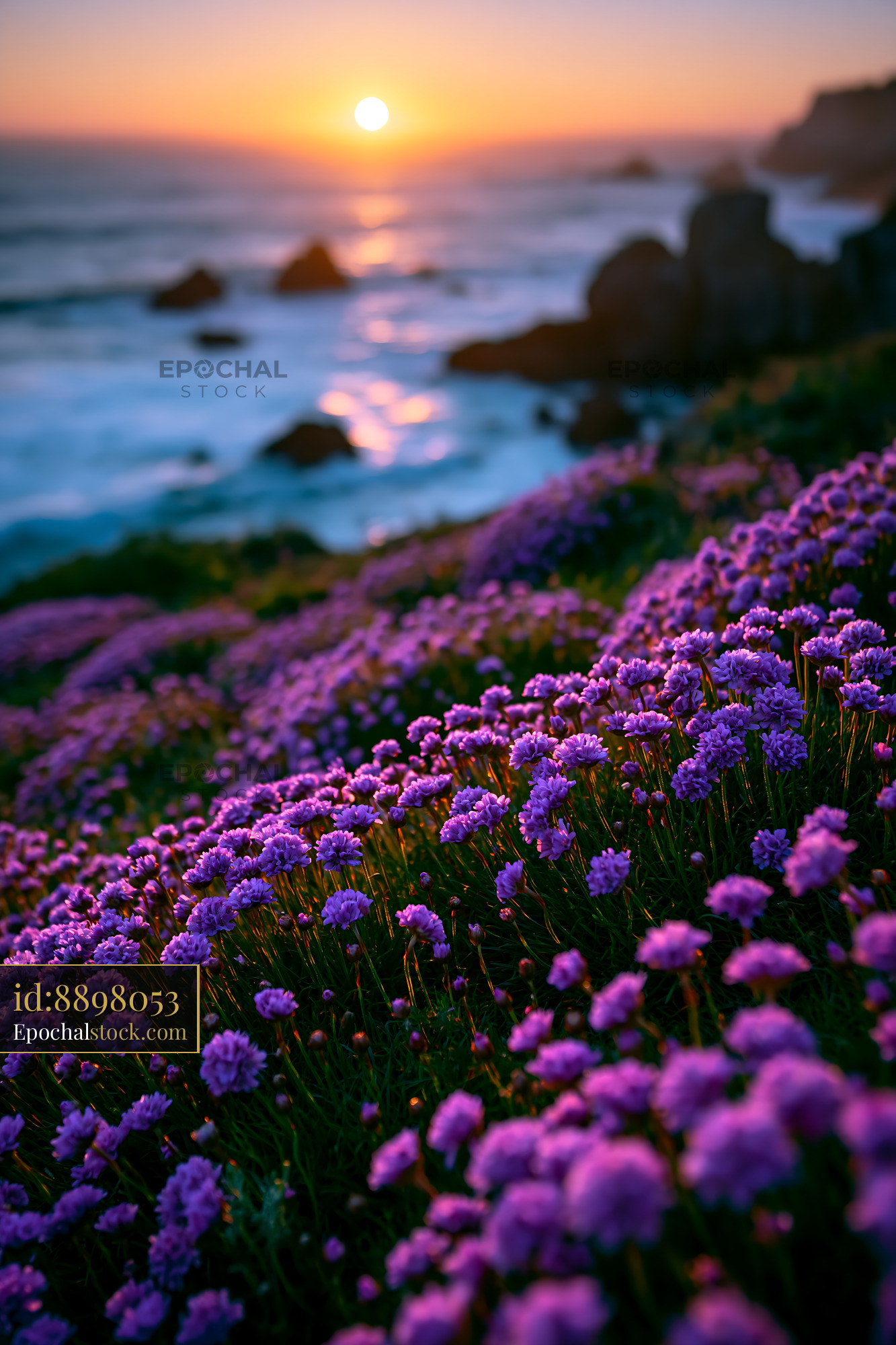 Watermarked full-resolution preview of Purple flowers by the ocean at sunset