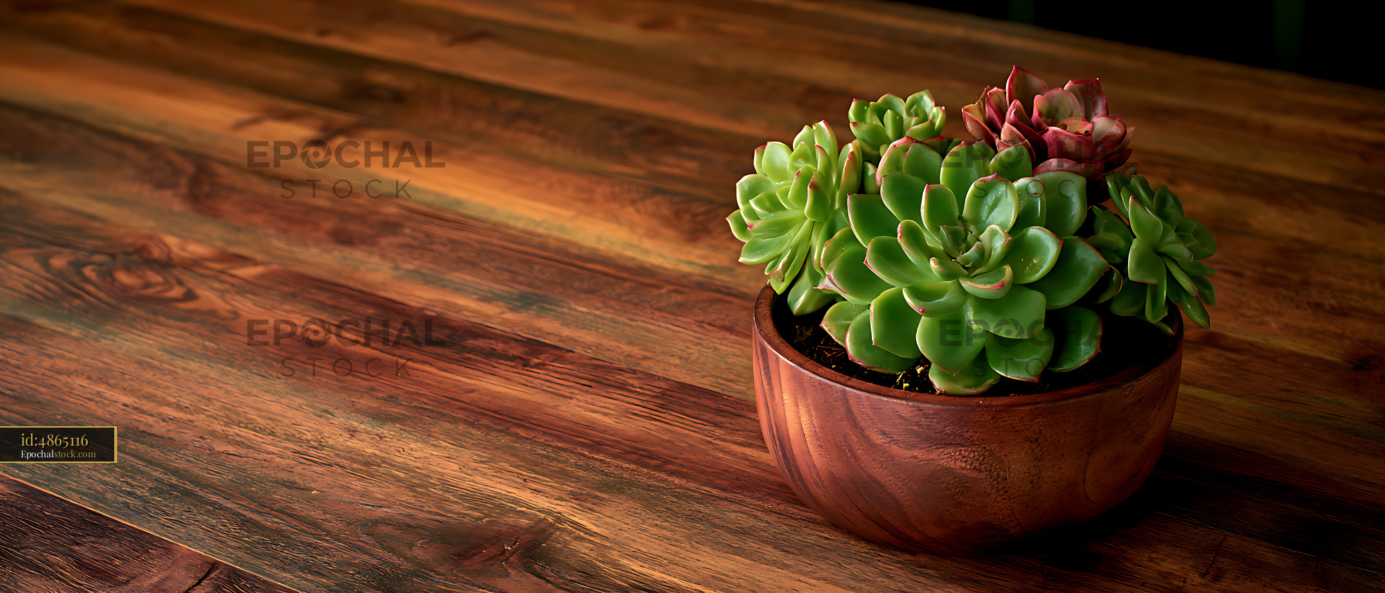 Watermarked full-resolution preview of Potted green rosette succulents on a rustic wood surface