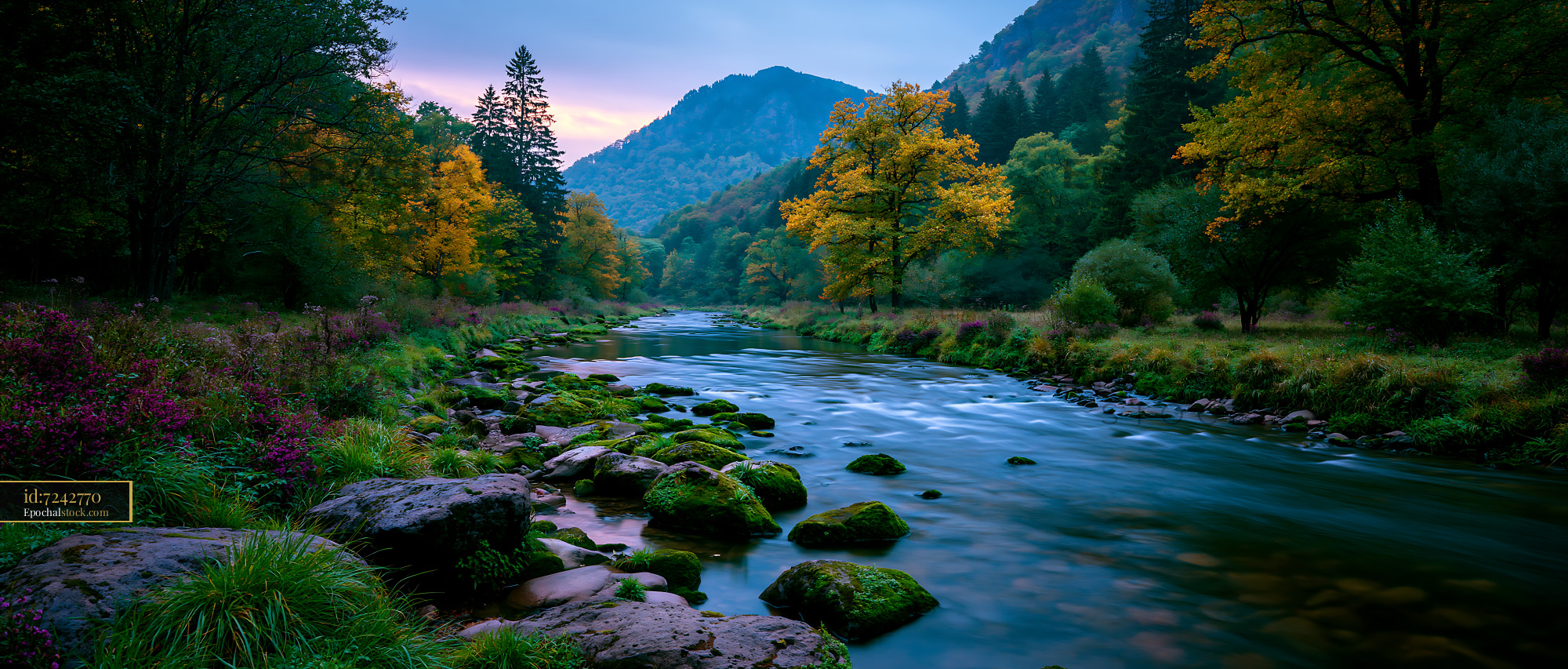 Watermarked full-resolution preview of Serene river flows through forest with mountains in the background