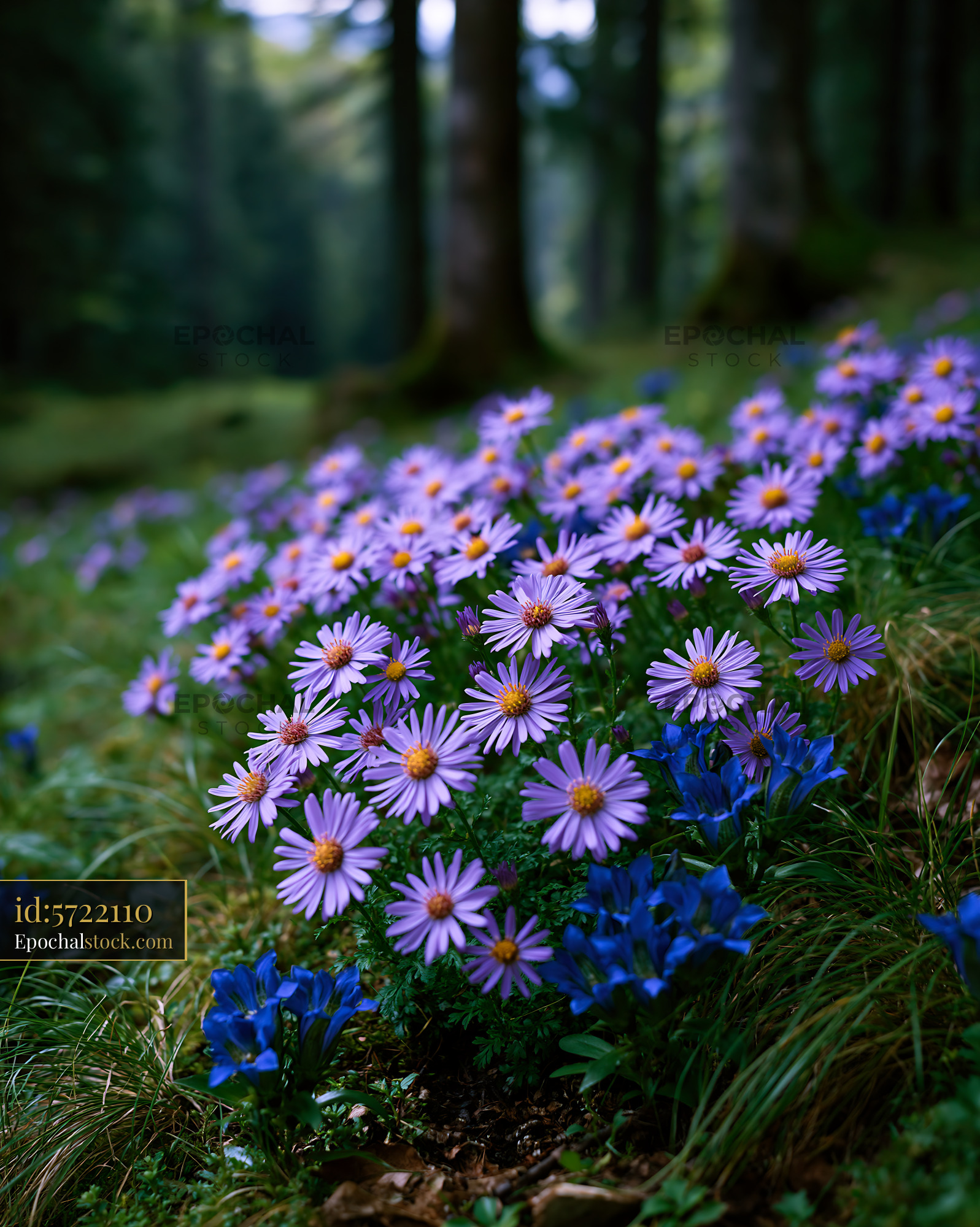 Watermarked full-resolution preview of Blooming flowers in a forest clearing during daylight