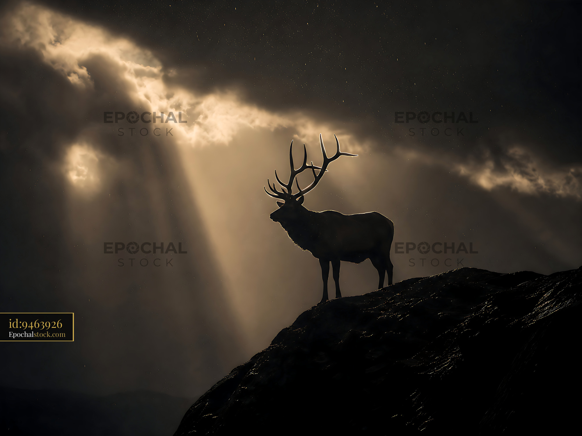 Stag Stands on a Rock Under Sunlight Breaking Through Clouds - stock photo