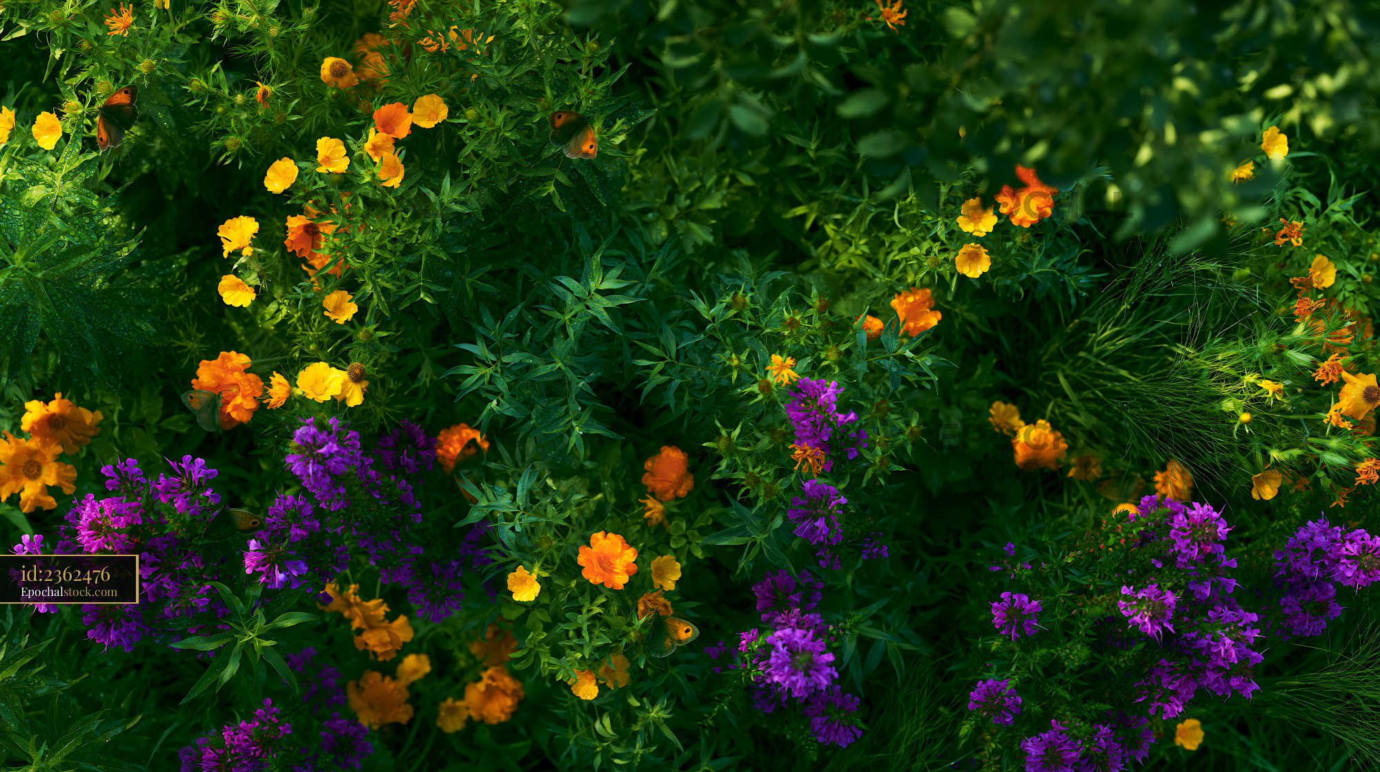 Watermarked full-resolution preview of Colorful wildflowers blooming in a garden landscape