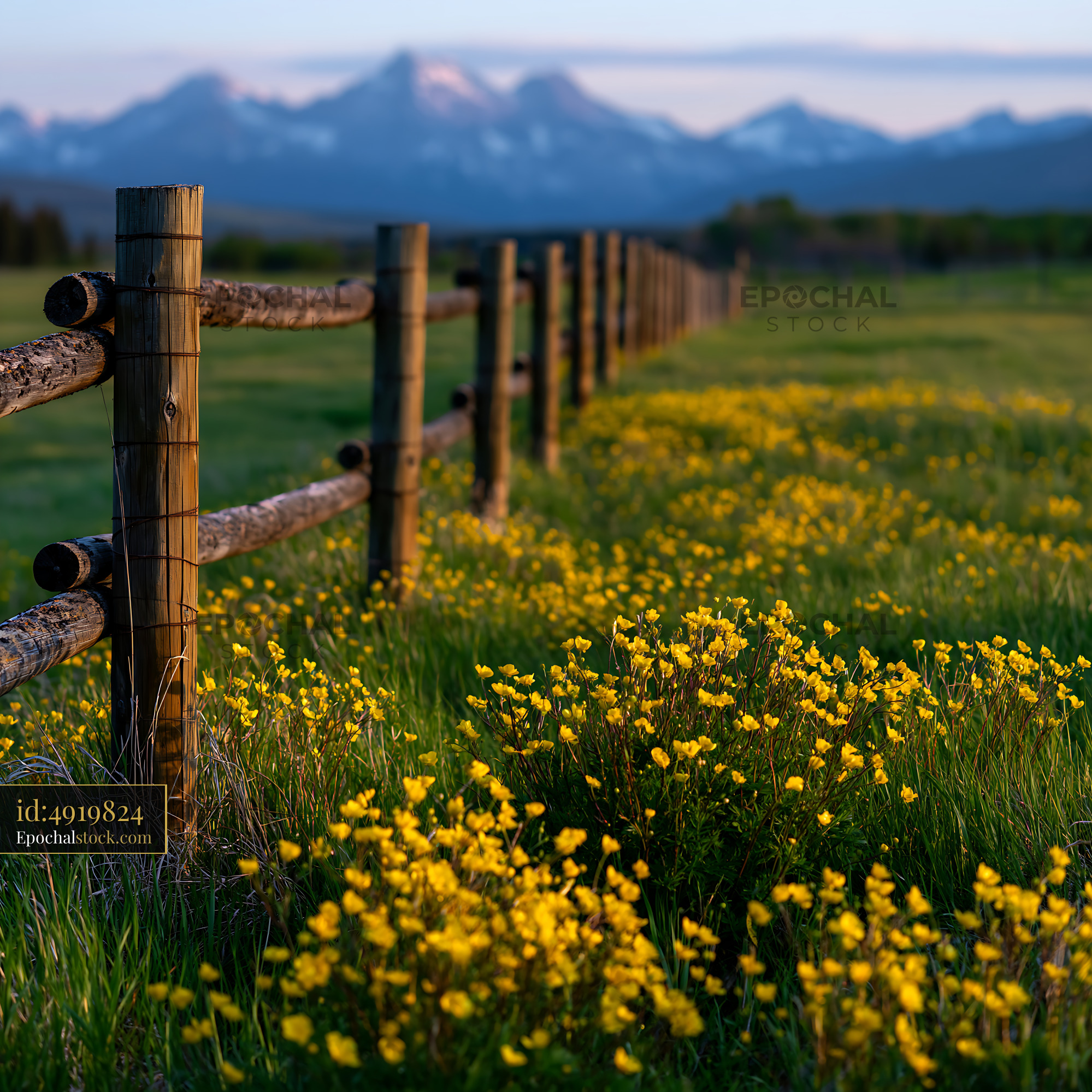 Watermarked full-resolution preview of Mountain landscape with a wooden fence and yellow flowers
