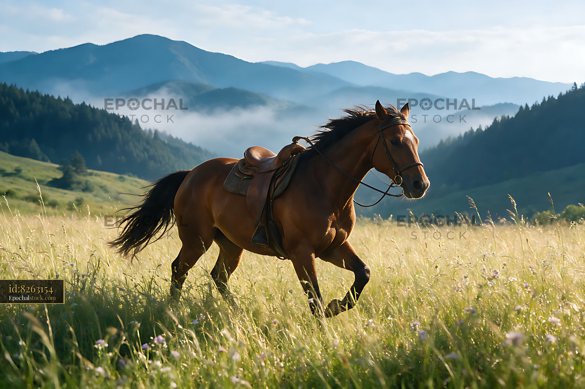 Watermarked full-resolution preview of Saddled Horse in a Sunlit Mountain Meadow