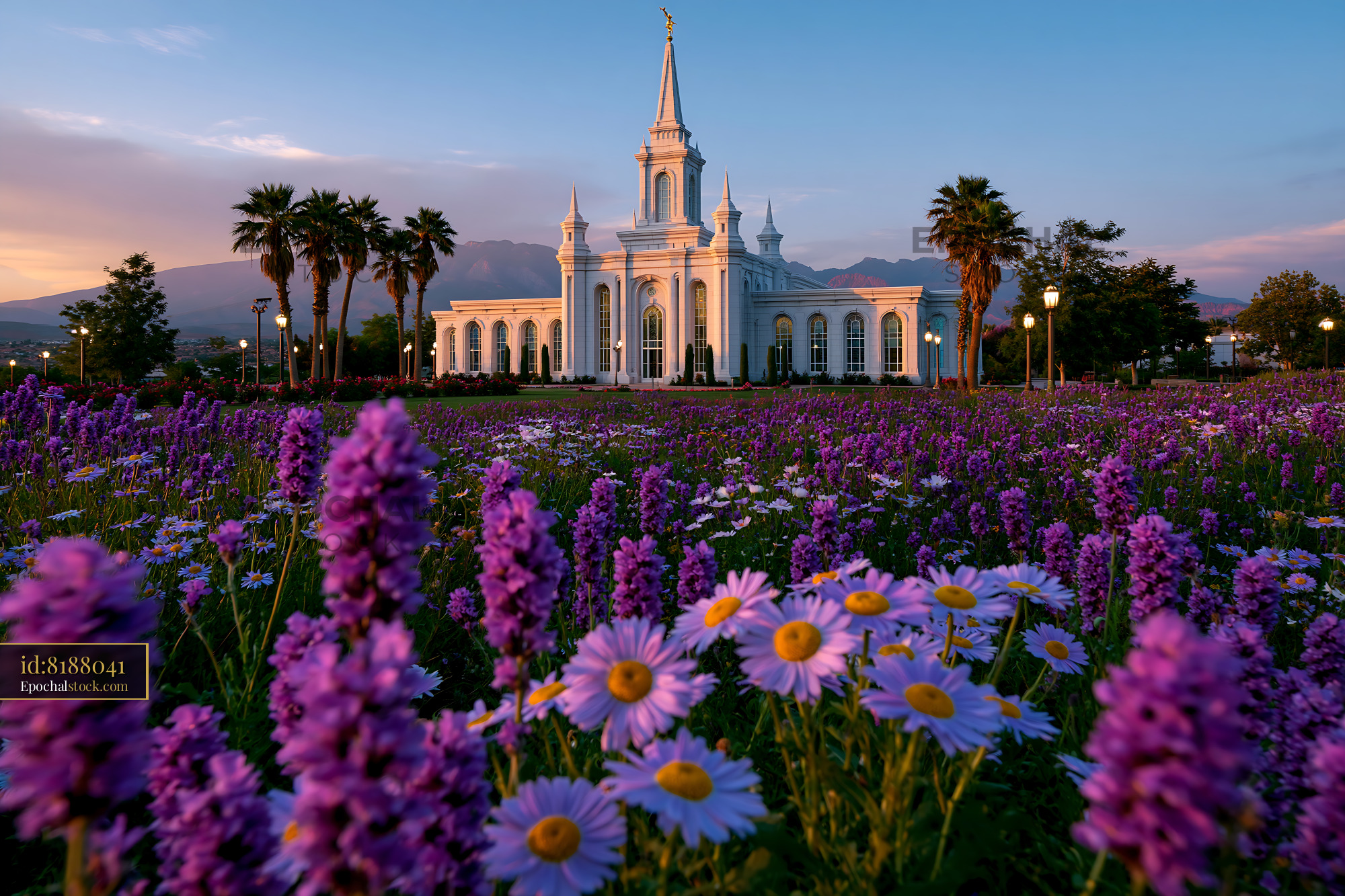 St. George Utah Temple Illuminated by Flowers at Sunset - stock photo