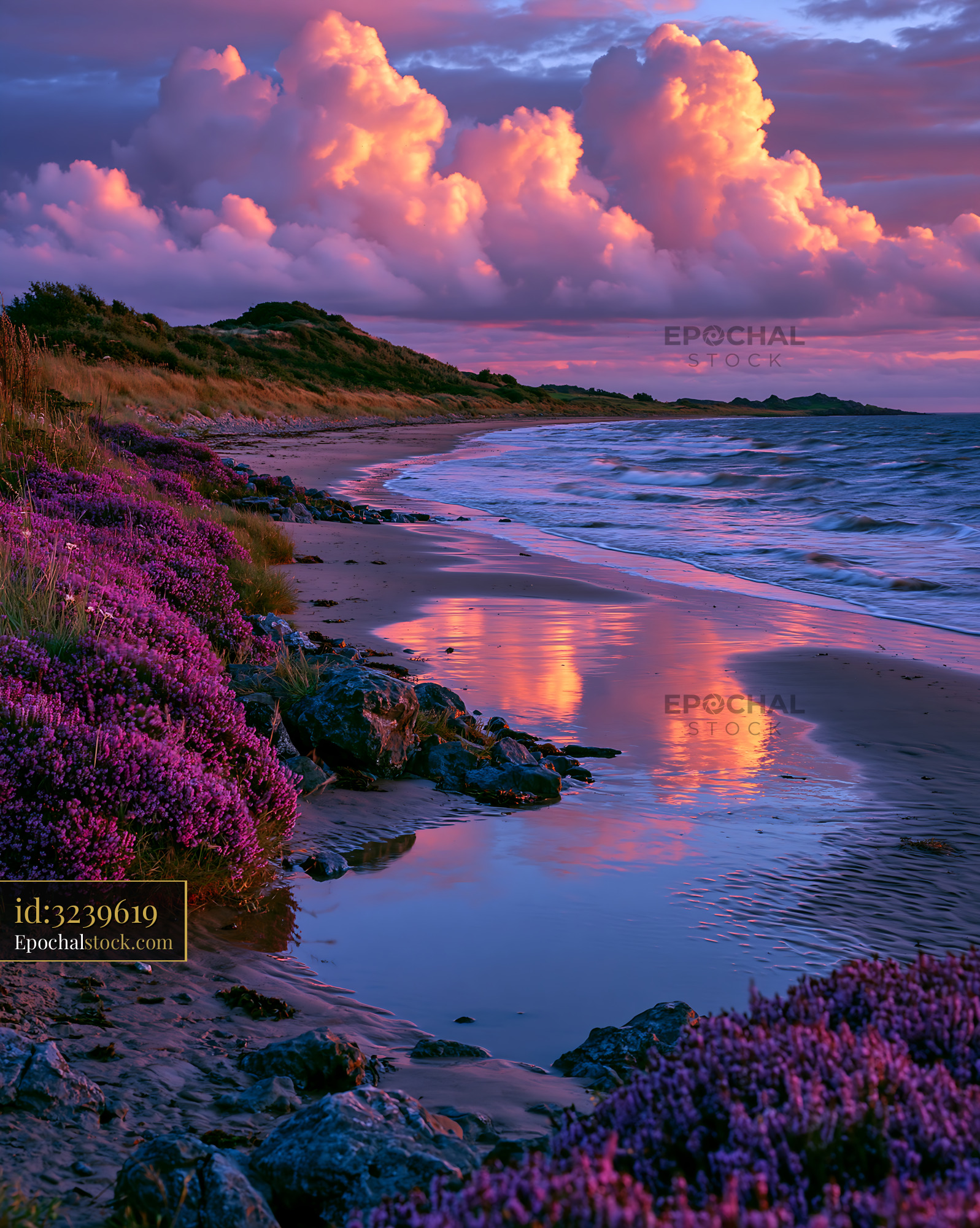 Watermarked full-resolution preview of Sunset over a beach with purple flowers and calm water
