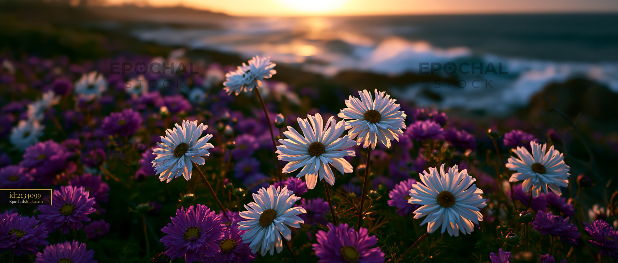 Watermarked full-resolution preview of Flowers in bloom at sunset by the ocean