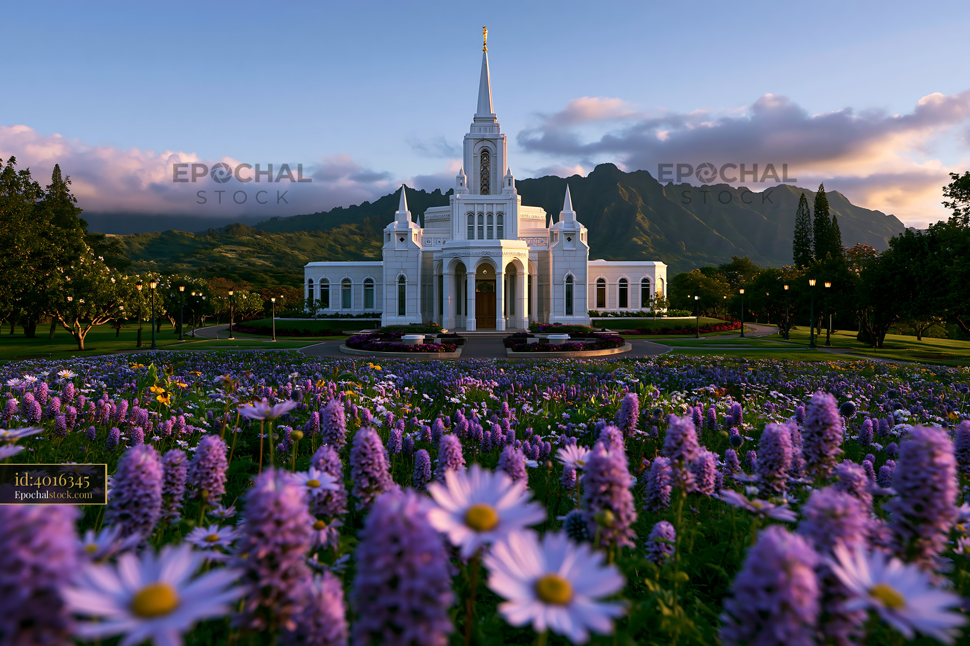 Laie Hawaii Temple With Purple Flowers in the Foreground - stock photo
